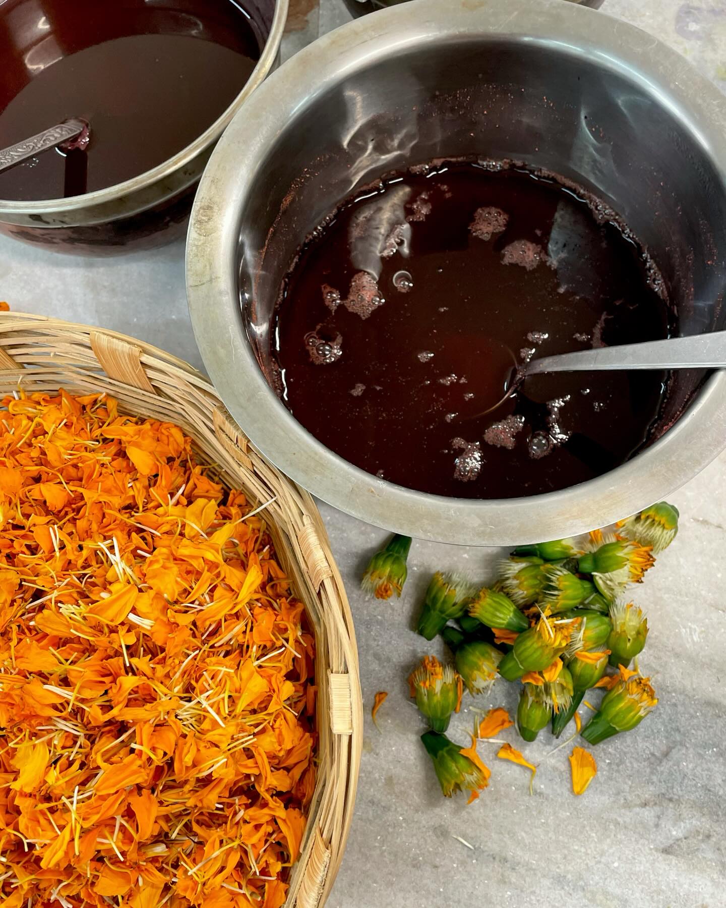 Just a little random colourful photo-dump on this sunny day! 🧡🌞🌻