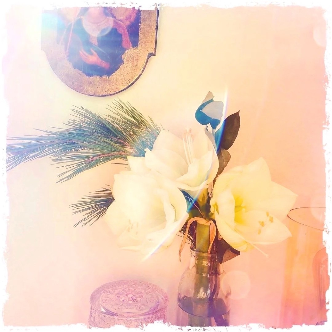 Your Soul knows.
#raunächte2022 #stillezeit #einfachduselbst