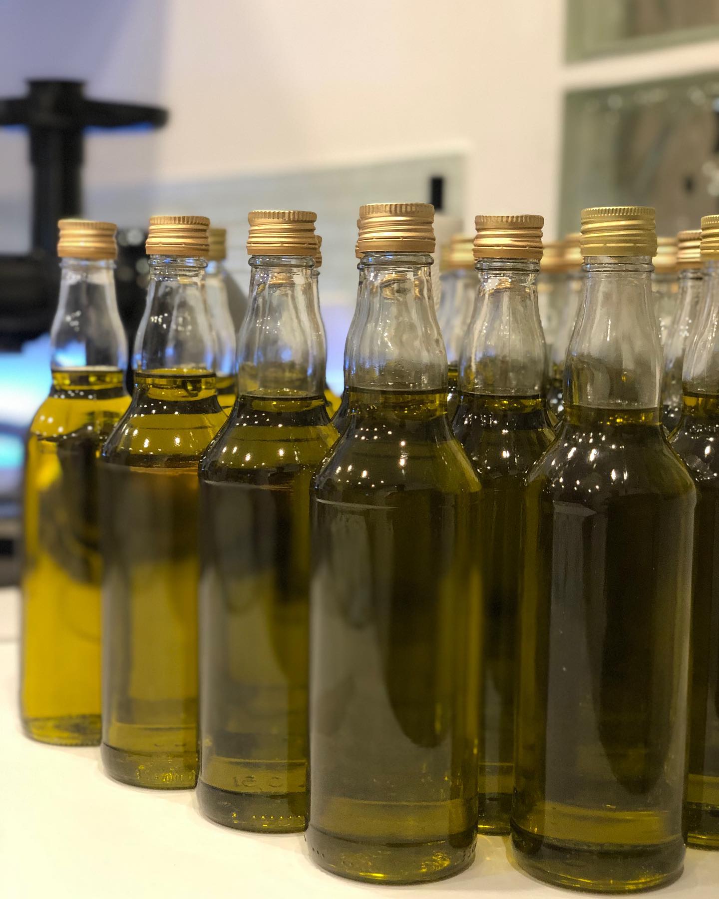 Echtes natürliches Olivenöl
www.olivenoelaranzulla.de
#olivenöl #nativesolivenölextra #bioprodukt#italienischesolivenöl #olivenölmitbrot #inolivenöldippen #nachhaltig #frühstückmitolivenöl #olivenölextravergine #bioolivenöl#naturprodukt#natürlich#gesund#filippoaranzulla#plantage#oekologisch#olivenölaranzulla