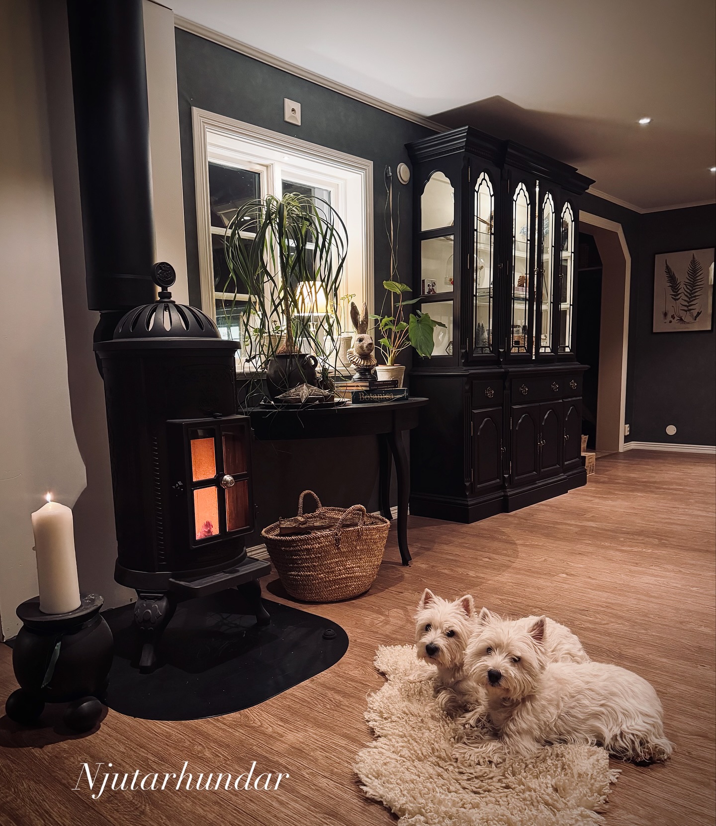 ~Fredagsmys~
Brasan är tänd, vinet upphällt och maten strax klar. Fredag igen och vi njuter av lugnet.
Önskar er fin kväll🤎
#fredagsmys #westhighlandwhiteterriers #mysigt #fredagskänslan #hemmahosmig