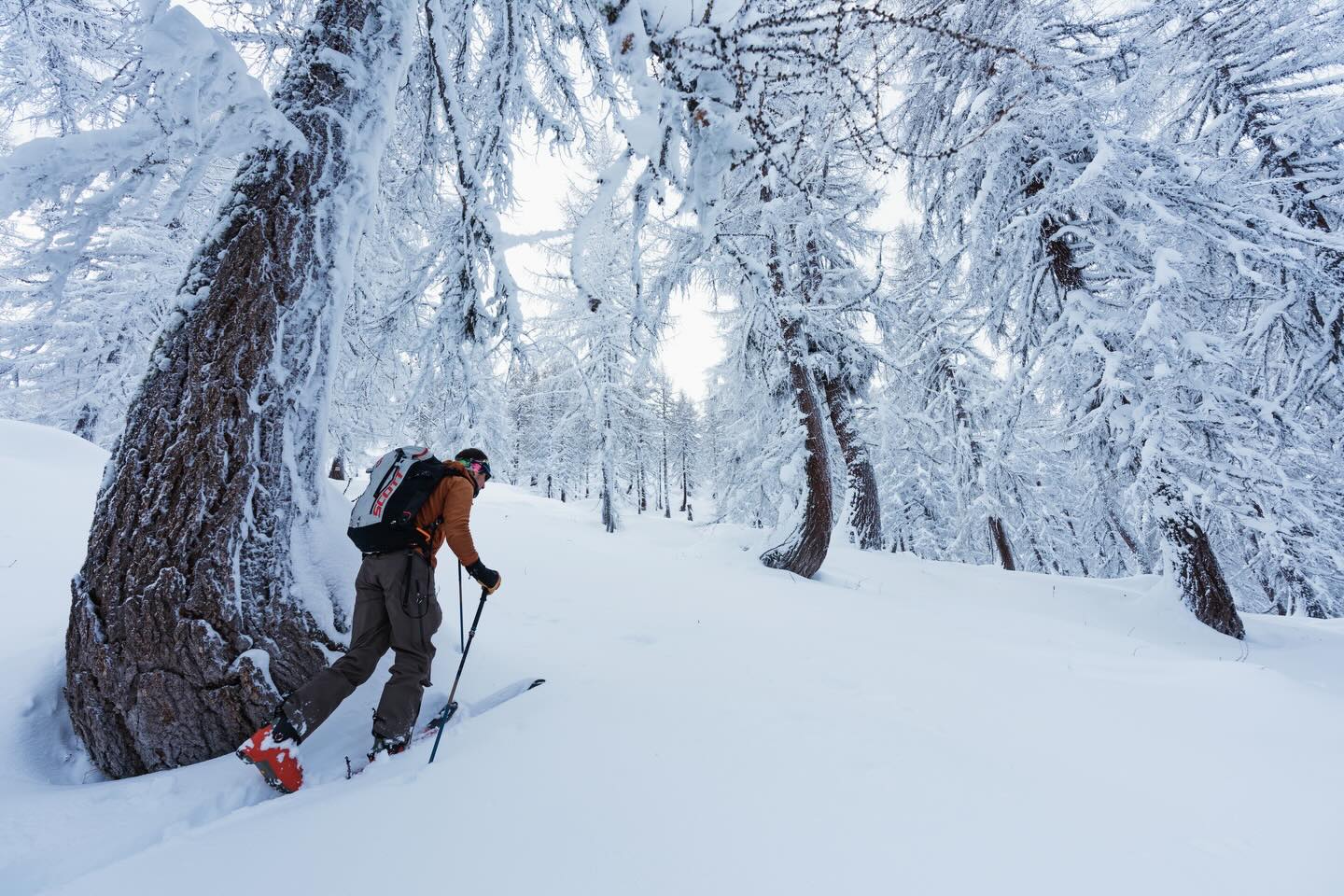 🇨🇭Oft werden wir gefragt: Was macht ihr eigentlich in Andermatt bei schlechter Sicht?
Zuerst muss man wissen: Auch am Gemsstock findet man erstaunlich gute Sichtverhältnisse – wenn man weiss, wo. Selbst ein stürmischer Tag kann plötzlich grandios sein.
Nur eines gibt’s hier nicht: Wald. Keine schützenden Bäume, in die man sich bei Whiteout flüchten kann.
Oder doch?
Drüben im Goms, nur eine kurze Zugfahrt entfernt, wartet genau das: stiller Wald, tiefer Schnee, endlose Lines zwischen den Bäumen. Sensationelles Treeskiing.
Aber es gibt keinen Lift. Jede Kurve muss man sich verdienen. Und vielleicht macht genau das die besten Tage aus.
⸻
🇬🇧We often get asked: What do you actually do in Andermatt when the visibility is bad?
First thing to know: even on the Gemsstock you can still find surprisingly good visibility — if you know where to go. A stormy day can turn out to be absolutely brilliant.
There’s just one thing missing: trees. No forest to hide in when the whiteout hits.
Or is there?
Just a short train ride away in Goms, you’ll find exactly that: quiet forests, deep snow, endless lines between the trees. Incredible tree skiing.
But there are no lifts. Every turn has to be earned.
And maybe that’s what makes those days the best ones.
Photocredit: @adam__kubicek
@andermatt.official @andermatt_sedrun_disentis @blizzard_tecnica @imholzsportandermatt @vailmtn
#andermattguides #weloveskiing #freerideandermatt #skitouring