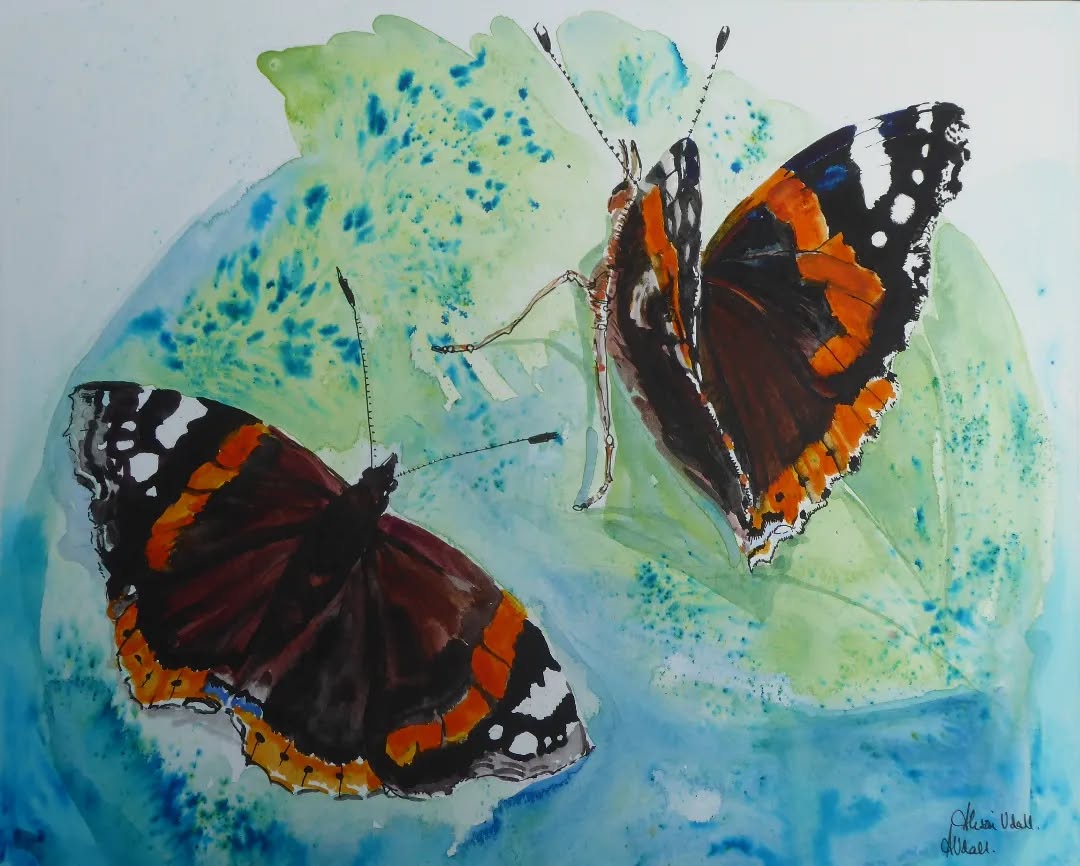 Red Admiral Butterflies
Watercolour and Brusho A4
These studies were sourced by family photos taken in Somerset and Cornwall.
# butterfly #countrylifestyle #watercolourpainting # artist #countrylife #insectstagram #insect #redadmiral #insectperfection #ilovebutterflies