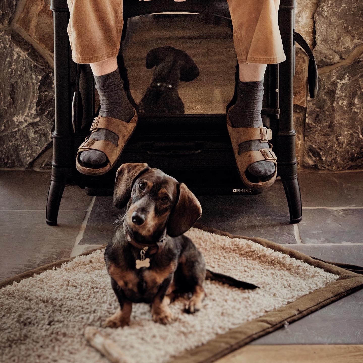 Willy says: #happyweekend