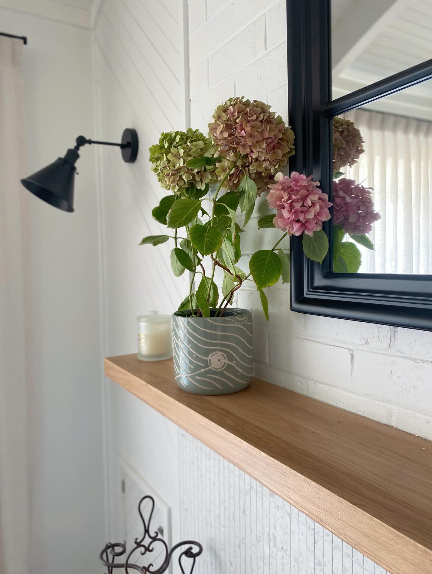 I bought this hydrangea as a single bare stem from our local farmers market and took great pride watching it grow and bloom this season 🥰 Happy Sunday and I hope everyone manages to stay cool in this heat!