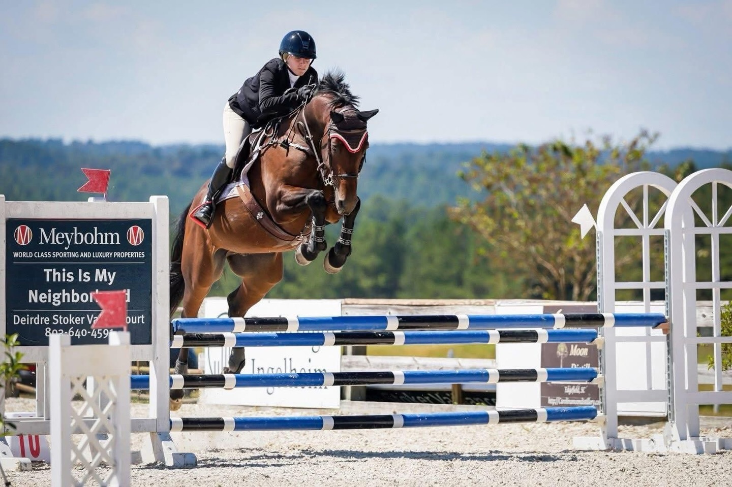 SOLD!
Huge thank you to DiTrolio Sales & Appraisals for the assist in finding Keebler the perfect new home! Congratulations to his new owners—we wish you so much success in the jumper ring. ✨
#OverFenceMarketing #Sold