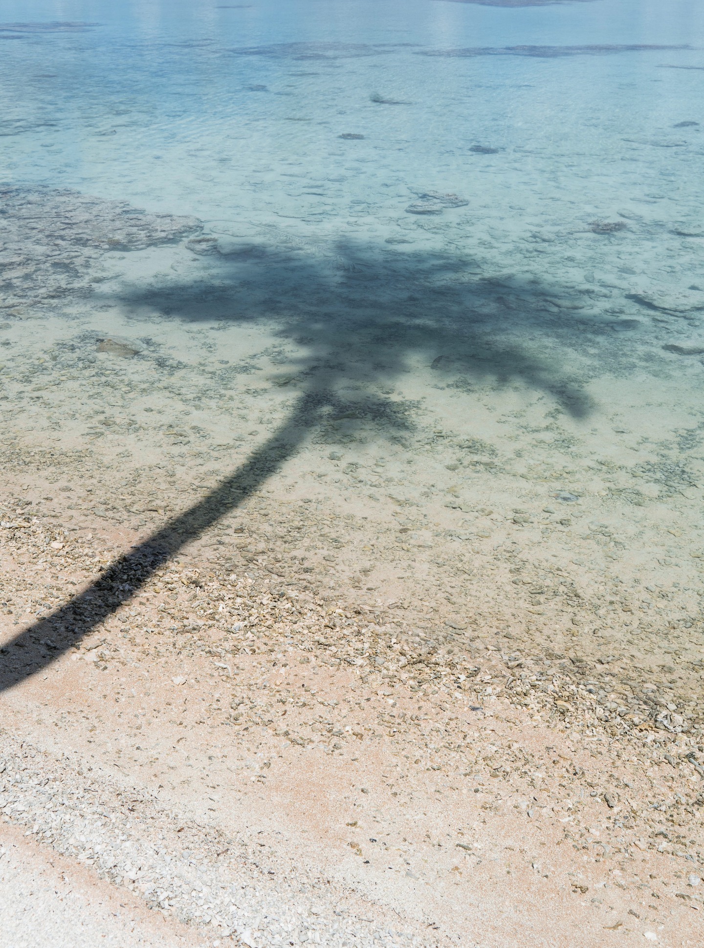Donde la sombra del cocotero se encuentra con el mar.
En la Polinesia Francesa, la vida junto al agua avanza sin prisa, silenciosa y reparadora, acompañada por el murmullo eterno del océano.
.
Where the shadow of a palm meets the sea.
In French Polynesia, life by the water moves at its own pace — quiet, restorative, and guided by the endless sound of the ocean.
#MoemoeaTravel #PolinesiaFrancesa #FrenchPolynesia #LagoonVibes #PalmShadow #SlowTravel #SlowLuxury #ParadiseFound #IslandDream #LoveTahiti