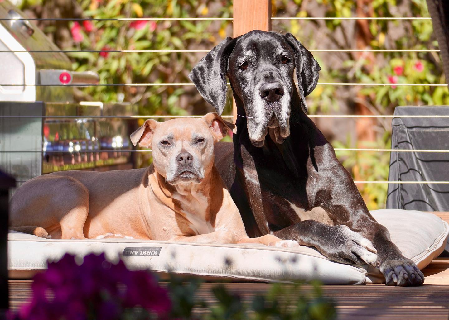 Sunbathers