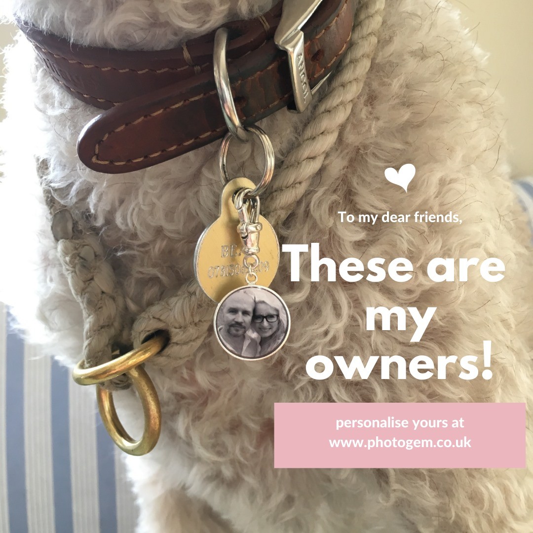 Now if I get lost you can see what my owners look like! Personalise your tag now at https://photogem.co.uk/products/dog-collar-bag-accessory-with-15mm-photogem
.
.
.
#dogcollarshop #idfordogs #identification #findmyowners #bagtag #personalisedbagtag #bagtaggift #photogem #bagattachments #bagaccessories