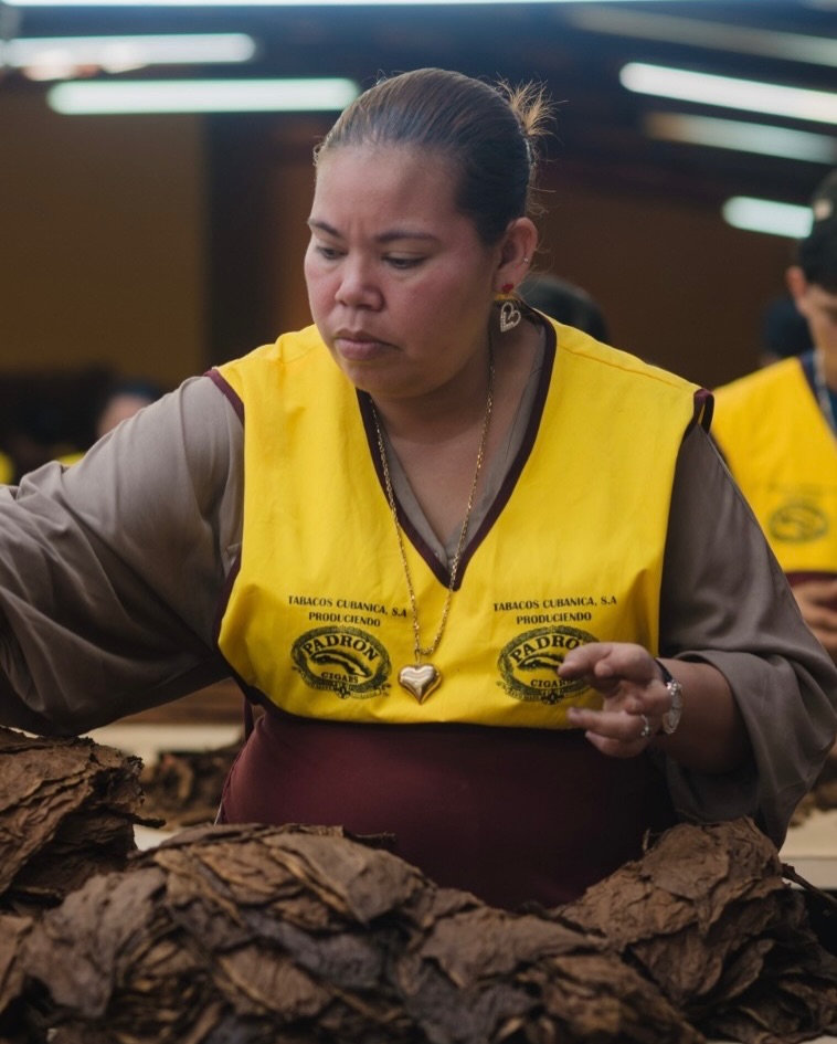 Last night our 2026 Tor Tour group touched down in Nicaragua and today they begin their journey in one of the most iconic places in the cigar world. 🌍 🇳🇮
As they spend this morning visiting the @padroncigars factory we are throwing it back to last year and sharing a few moments from the #tortour25 visit 📸
A true pillar of Nicaraguan cigar history where tradition craftsmanship and family legacy come together and a stop that never fails to remind us why this industry is so special 🔥
#TorTour26 #padroncigars #newworldcigars #cigarfactory