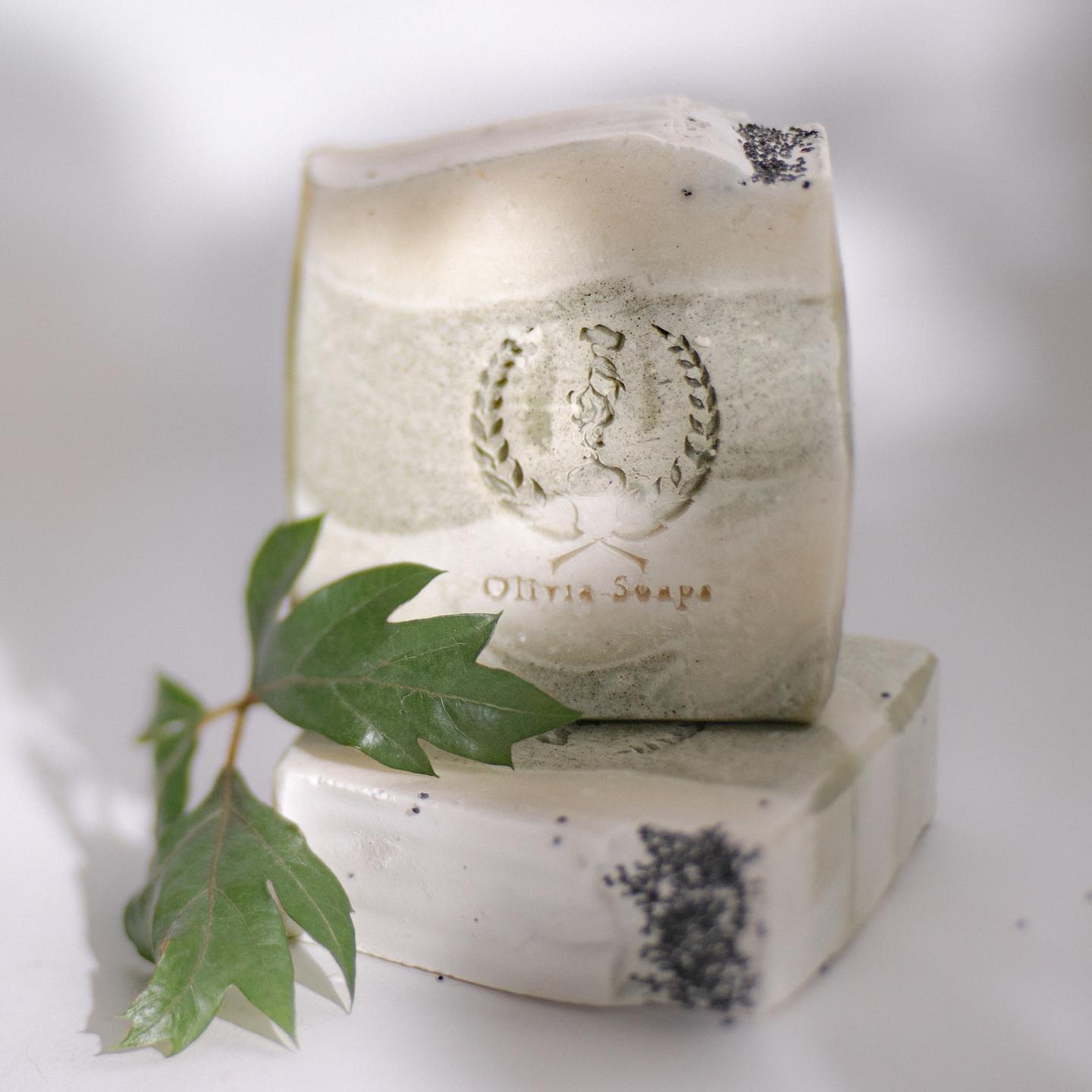 BOSCO BALSAMICO
Vi presento Bosco Balsamico (o Balsamic Woods)!
Il sapone nato per evocare il bosco. Evocare il profumo ed il silenzio degli alberi in montagna, interrotto solo dai pensieri che lentamente si allontanano da noi, man mano che ci riconnettiamo con la Natura.
Il sapone verde e bianco come gli alberi con le punte innevate, dalle note legnose e ricco di ingredienti colmi di proprietà benefiche per la pelle.
Finalmente sullo shop (link in bio) 💚
Ps: Grazie sempre a Lucia @project.misja per ‘sentire’ i nostri prodotti così bene e riuscire a mostrarli come noi li vediamo 💚
.
.
.
#boscobalsamico #newsoap #solidsoap #soaplovers #profumodibosco #saponerinfrescante #artigianatoitaliano #cosmesisolida #cosmeticiinregola #ingredientinaturali #fvg #handmade #notelegnose #saponeverde