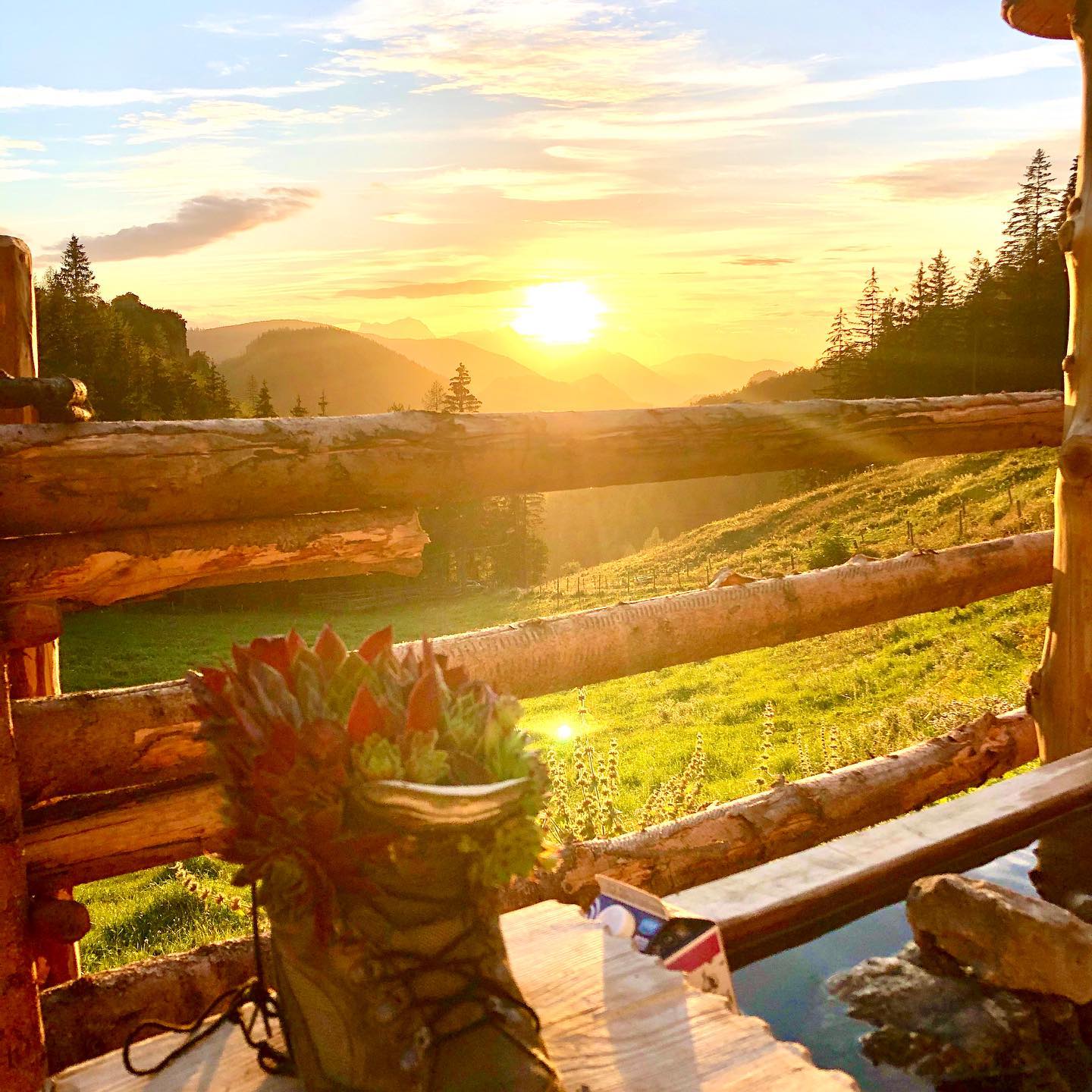 Sonnenuntergang auf der Alm.
#hintergrabenbauer #urlaubinösterreich🇦🇹 #pyhrn_priel #pyhrnpriel #urlaubambauernhof #urlaubambiobauernhof #biobauernhof #naturpur
#wandern #kurzeauszeit #familyqualitytime
#herbstbeginn #menaueralm