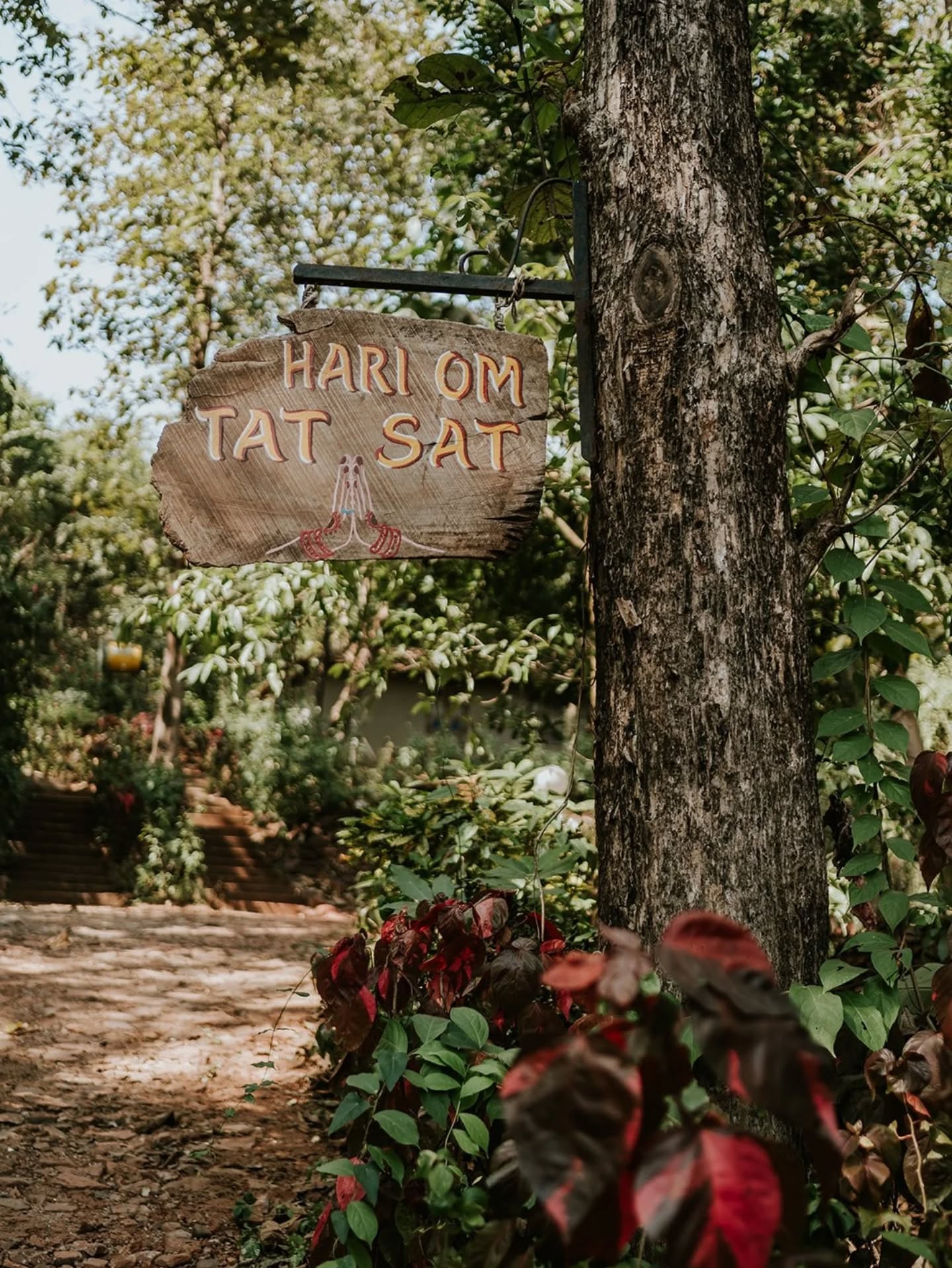 some impressions from my first weeks in india - slowing down, diving into ayurveda & yoga
thank you, india🇮🇳
#india #goa #yoga #ayurveda