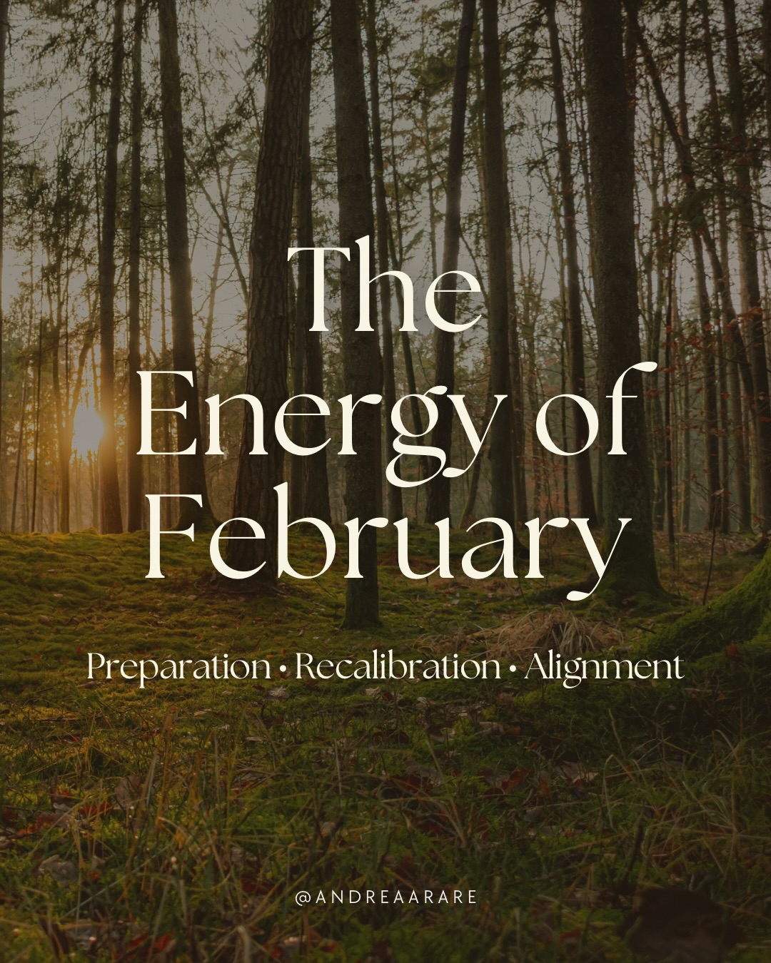 February is a month of quiet readiness.
Nothing to force. Nothing to rush.
Just the gentle remembering
that something is on its way.
Swipe ➡️ to explore the medicine of February!
#february #wheeloftheyear #cyclicalliving