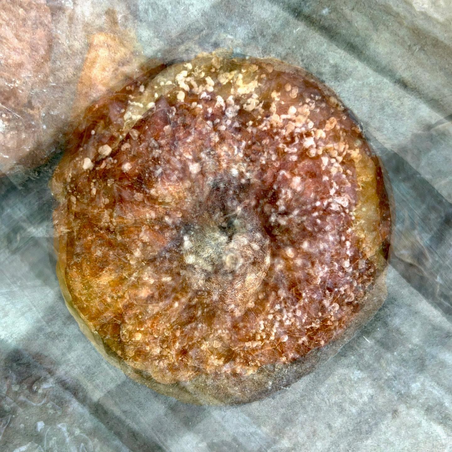 HERBSTFARBEN… #experimentellefotografie #multiexposure #nophotoshop #mehrfachbelichtung #visualart #incamera #fineartphotography #wallart #abstractart #inmotion #experimentalphotography #motion #artoninstagram #fineart #ilovehannover #artography #camerapainting #herbst #lecker #autumn #apple #apfel #hannover #iphonephotography #anappleaday