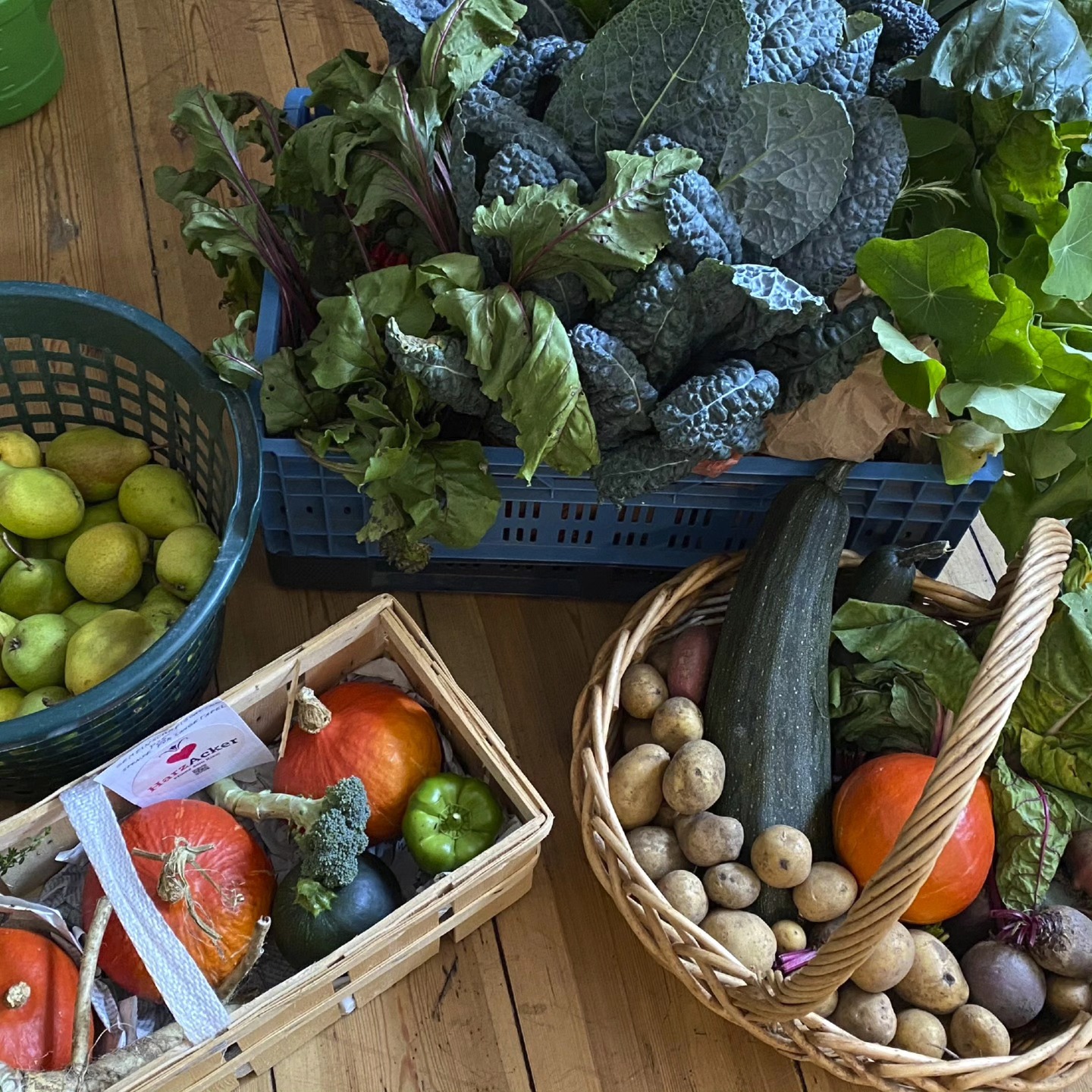Teile Deine Ernte mit der Nachbarschaft! 🥕🌽
Gib Deine Ernte, ob Gemüse, Kräuter, essbare Blüten oder Obst von Montag 15.09. bis Donnerstag 18.09. bei KoKitchen in den Geyerwerken ab!
Das wundervolle Team von @kokitchencatering hat die Challenge angenommen und zaubert aus all euren Spenden ein Festmahl für uns alle.
Zu verköstigen dann bei der Langen Tafel am Freitag, den 19.09 September von 17:00 - 19:00 Uhr in der Brockenstraße. 🍽
Bist Du dabei? 😋💚
Die tollen Menschen von @kulturlabor_trial_error und
dem Projekt 'Idyll ohne Müll' räumen für uns sogar die Brockenstraße auf.
Es gibt also genug Dinge und Engagement im Kiez um harzlich DANKE zu sagen! ❤️
#langetafel #erntedankfest #HarzAcker #parkingday #HarztalWildeRose #parzellex #pflanzdeinkiez #urbangardening #urbangardeningberlin #communitygardening #gemeinschaftsgarten #urbanfarming #baumscheiben #workshop #partizipation #kleingartenanlage #qmharzerstrasse #stadtnatur #umweltbildung #gesundeernährung #neukölln #harzerkiez #konsumfrei #gruen #senatsverwaltung #berlin