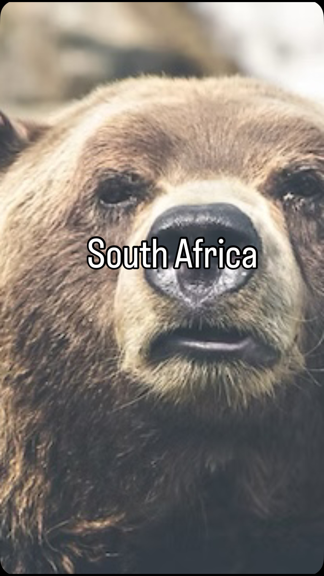 Explore South Africa in a whole new way with WILD BEAR & Skydive THE RANCH https://www.wildestbear.com/post/wild-bear-skydive-south-africa #luxurytravel #advenrureholidays #lifestyle #holliday #skydive