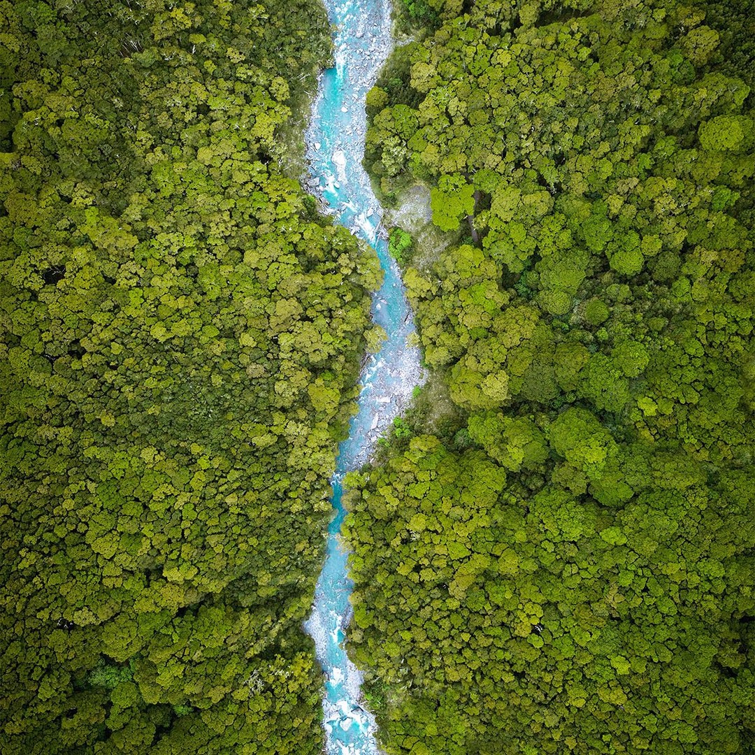 Reforestation is one of the most powerful ways to increase the Earth’s fresh water supply. Forest watersheds provide 75% of the fresh water supply on the planet. That is such an incredible realization. The trees we all plant now ensure a future with clean abundant water that supports all terrestrial life. One of the easiest ways to start planting trees as you search the web is to switch your browser to Ecosia. @Ecosia is the ‘search engine that plants trees’ and is funding the planting of millions of trees worldwide, targeting biodiversity hotspots, with 80% the advertising revenue from their users. It takes just a few minutes to sign up and is a free and effective way to make an impact right now. Go to www.Ecosia.org to start planting trees today.
Photo by @yensen_tan
Subscribe to @trilliontreescampaign for more inspiring nature content and to connect with ways to plant trees around the world.
#trilliontreescampaign #trilliontrees #treeplanting #reforestation #forests #globalreforestation #restoration #foodforests #wildlife #biodiversity #permaculture #agroforestry #nature #naturelovers #treelovers #wildlifephotography #naturephotography #wildlifeplanet #nature_seekers #nature_inspiration #wildlife_inspiration #waterislife