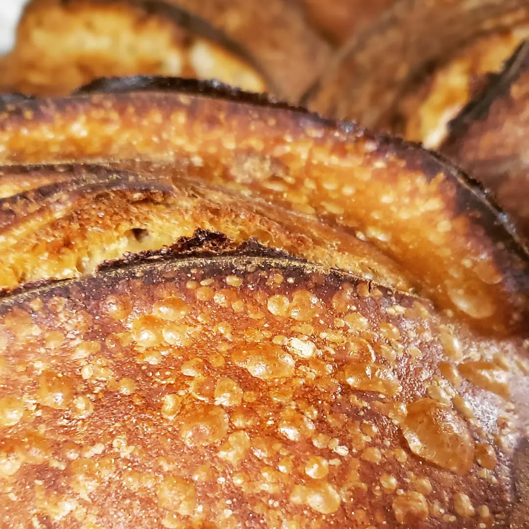 Blistery goodness on these spelt loaves headed to @urbavorefarm today using @marionmilling stone ground organic flour.
If you missed out on these, come see me this Saturday at @brooksidefarmersmarket
for one of five varieties. We have market 🌧 or 🌞 so come on out from 8-1pm!