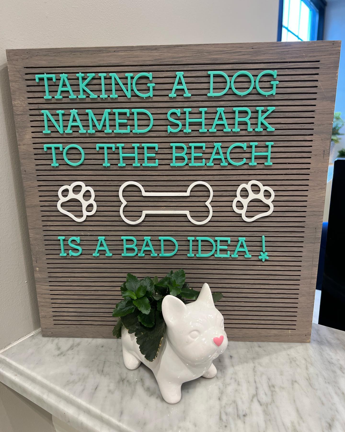 😅🐕🏝️