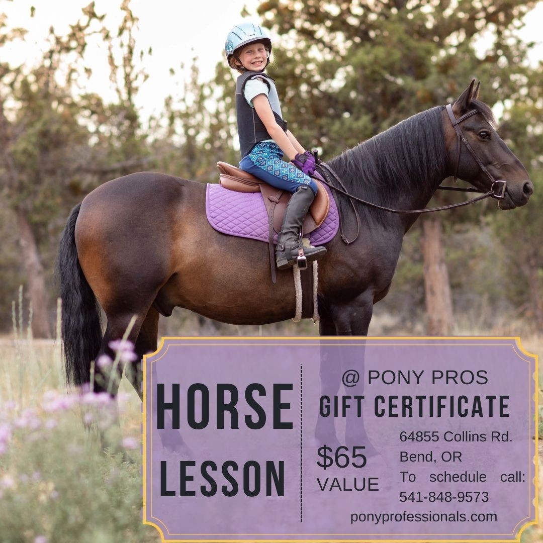 Does anyone have an auction or raffle that you need a gift certificate donated for? PonyPros would love to help! We recently hired some additional teachers and we would love to fill their lesson roster with smiling faces! Feel free to PM me if you need a gift certificate donated for your event! We would be happy to contribute!