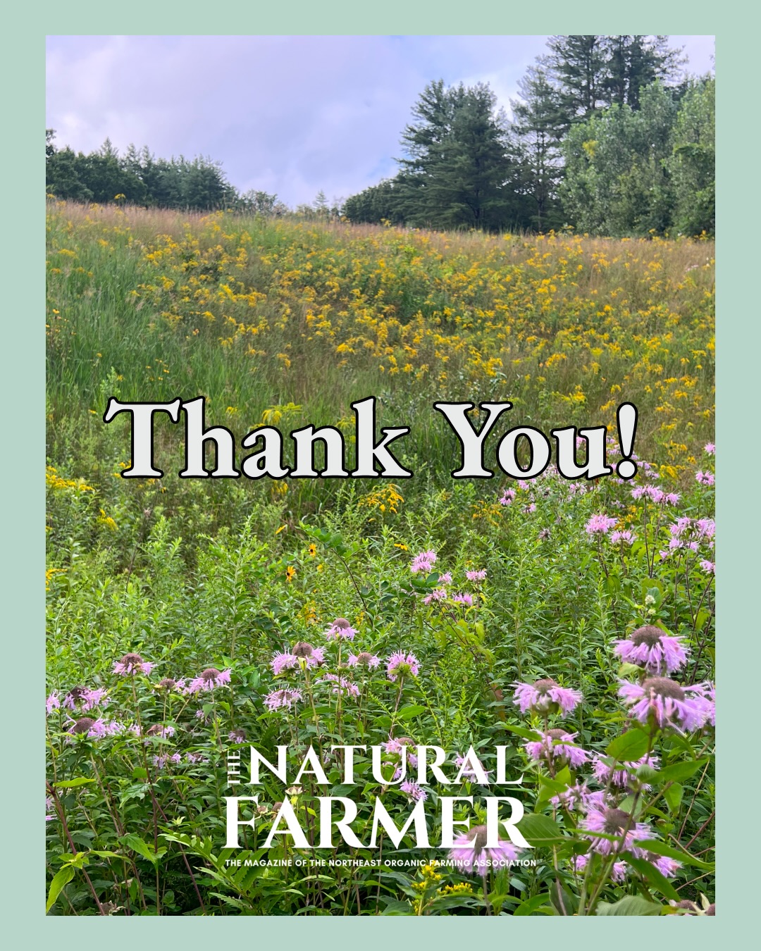 Sending another big thank you to our sponsors and advertisers today! Your support helps make this magazine possible.
💚This post is part two of a two-part series thanking our partners and 10,000+ readership base.
If you’re interested in becoming a sponsor or advertiser, email: TNF@NOFA.org.
❄️ We hope everyone is staying safe and warm out there!
A special thanks to:
🌿Neighboring Food Co-op Association
🌿New England Farmers Union @nationalfarmersunion
🌿Neptunes Harvest / Ocean Crest @neptunesharvest
🌿New York Center for Agricultural Medicine and Health (NYCAMH) @nycamh
🌿North Country Organics
🌿NY FarmNet @cornelluniversitycals
🌿Quick Organics @quickorganics
🌿Rimol Greenhouse Systems @rimolgreenhouse
🌿The Maine Potato Lady @themainepotatolady
🌿Seneca Grain & Bean @senecagrainandbean
🌿Seven Springs Farm Supply @sevenspringsfarmsupply
🌿Stone House Grain @stonehousegrain
🌿Udder Comfort
🌿The Bittersweet-Milkweed Collaboration @bittersweetmilkweed
🌿Weston A. Price Foundation @westonaprice
🌿Walden Mutual
🌿Vermont Compost @vermontcompost
🌿Vermont Soap @vermontsoap
.
.
.
#TNF #NOFA #TheNaturalFarmer #OrganicFarming #RegenerativeAgriculture