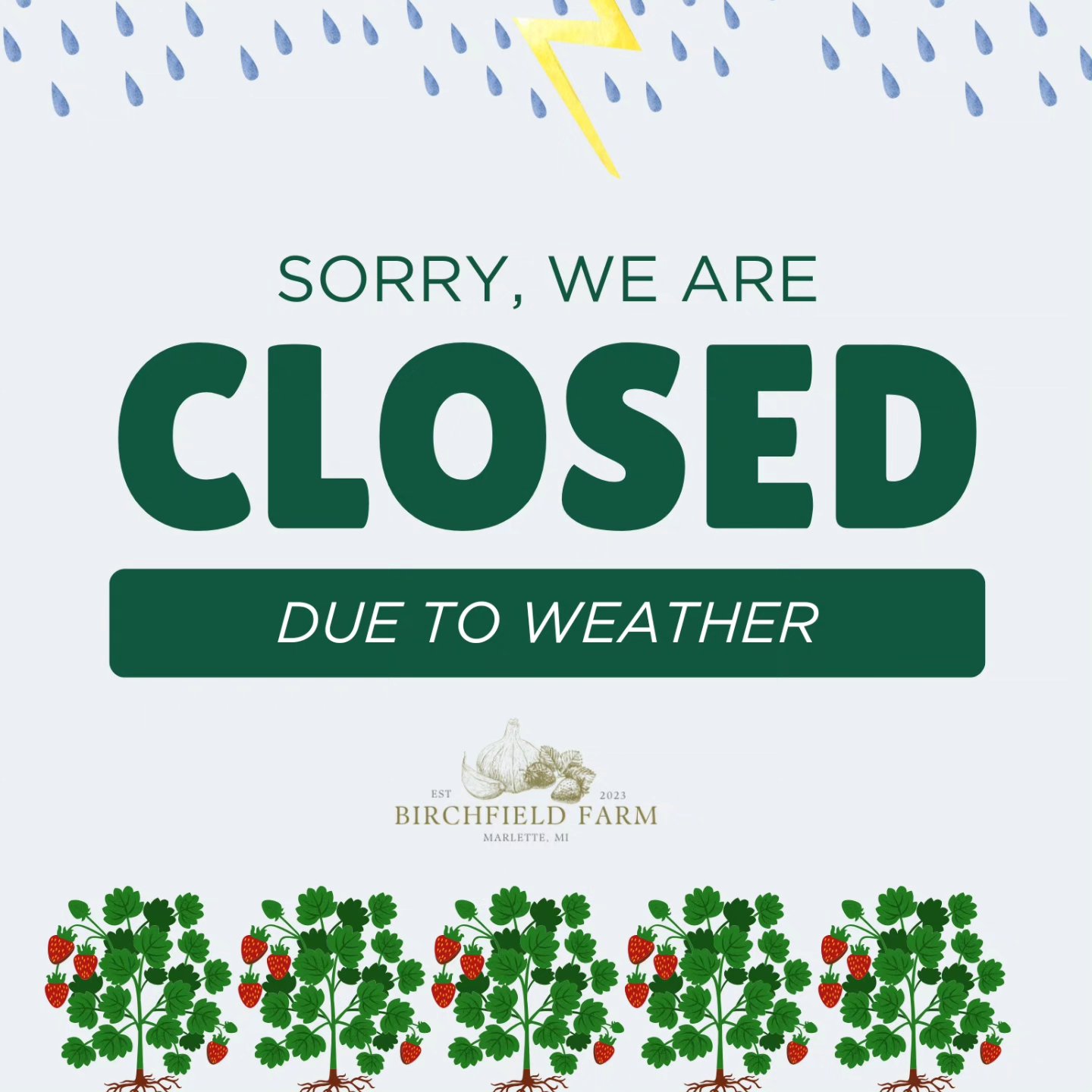 U-pick will be closed today due to weather. But if you'd like berries feel free to pre-order on our website for fulfillment later this week.
The strawberry ๐ season is winding down, but we are happy to help find our berries the very best homes ๐ก let us know if you need to get some before they are gone!