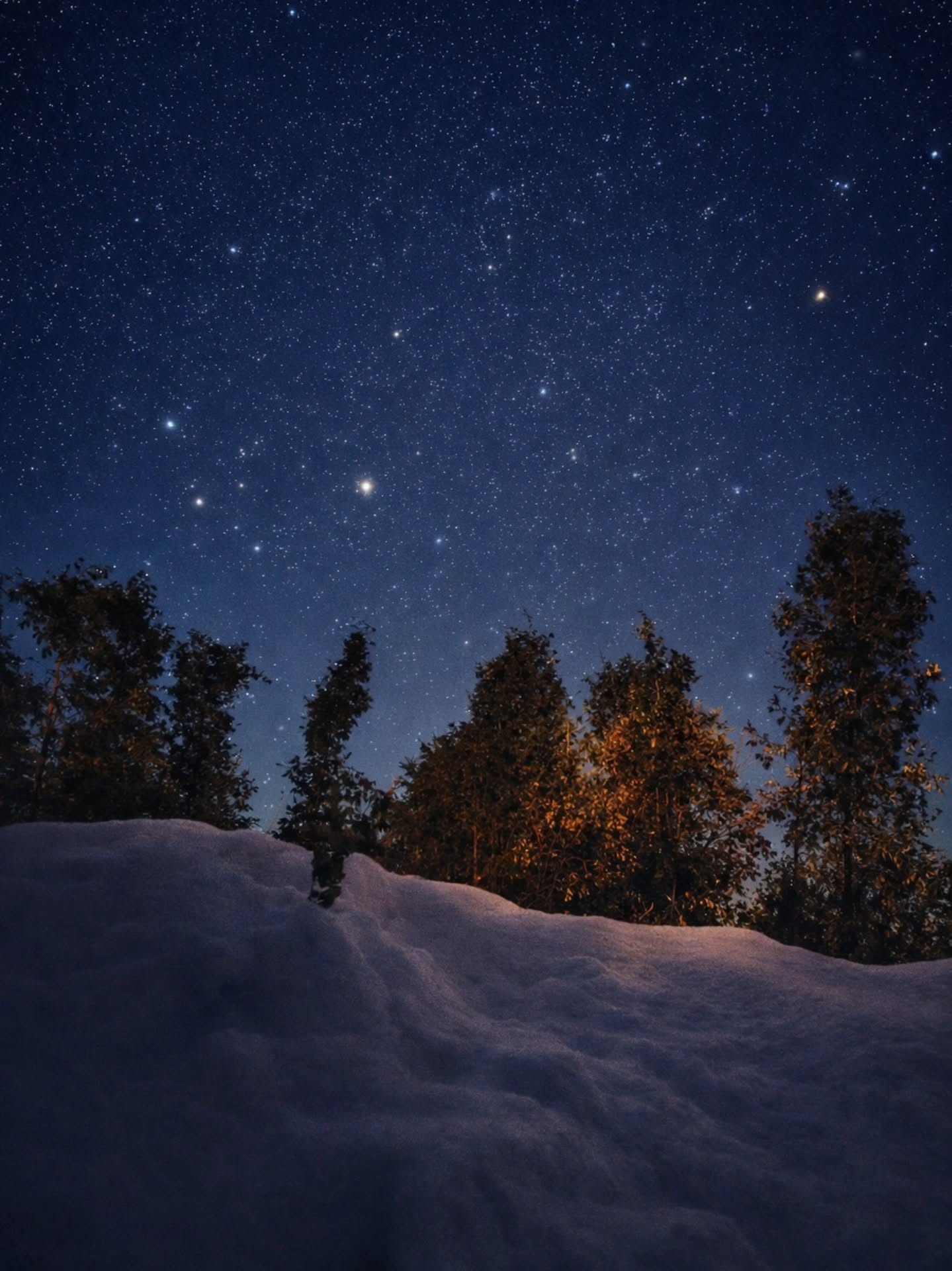 Just winter and the universe.
#himvanliti #uttarakhand #snow #stars #solitude #starrynight #natureretreat #ecoretreat #kumaon #himalayas #freshsnow #firstsnow #snow #stars #instagood #instagram #travelgram