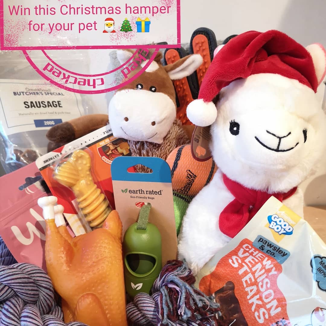 I'm giving away this hamper on my Facebook page. Head over for a chance of winning as this ends on Sunday!
www.facebook.com/problempet
#doghamper #doggoodies #winahamperforyourdog #brighton #Hove #brightonandhovedogs #brightonandhovepuppies #brightondogs #hovedogs #brightonandhovedogs #dogsofinstagram #dogbehaviourist #dogs #dogslife #dogsofbrighton #dogsofhove #sussexdogs #dogsofsussex #dogsofig #christmaspresentsfordogs #doggiepresents #giftsfordogs #doggiebag #dogchristmas #giftmasfordogs #dogtoys #dogtreats #doggosofinstagram #dogsofig #sussex #hamper #doghamper
