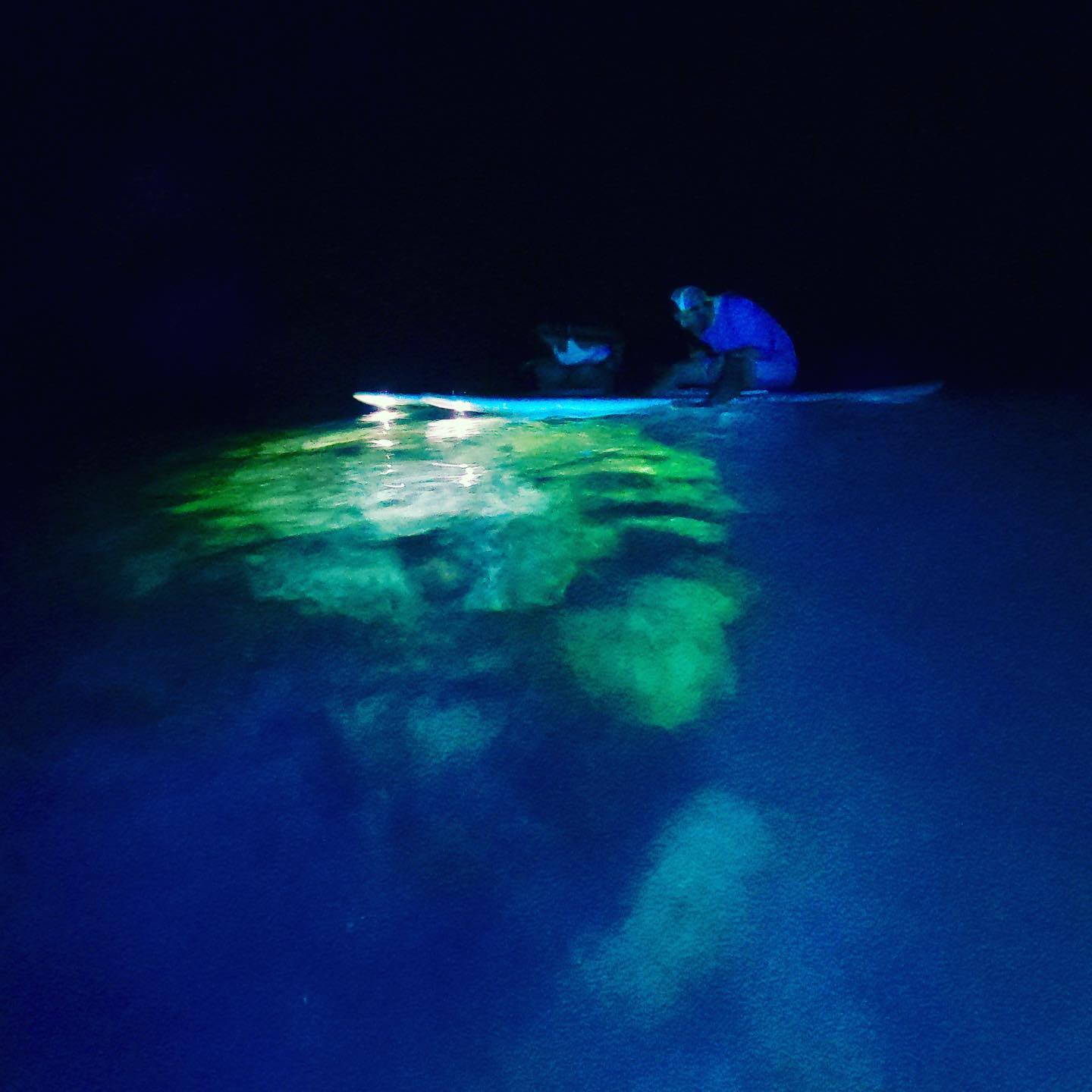 Exploring the drop off of Puako reef with high powered LED lights is a #nextlevelhumanexperience like no other 💙🤙🏽