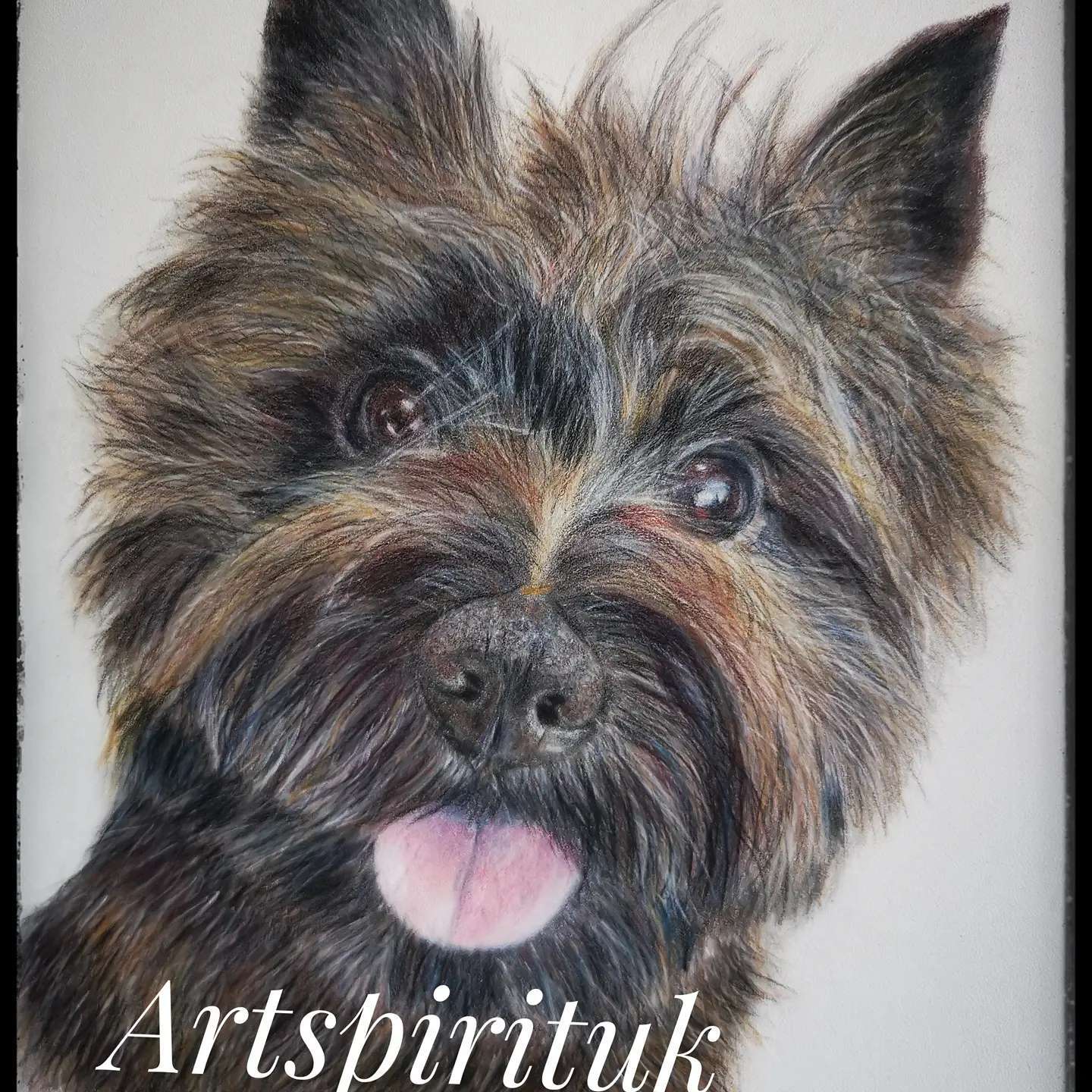 My new colour pencil drawing of Ozzy, our cairn terrier. He is such a little mischief.
#colourpencils #artist #artistsoninstagram #artcurator #pencildrawing #pencilart #cairnterrier