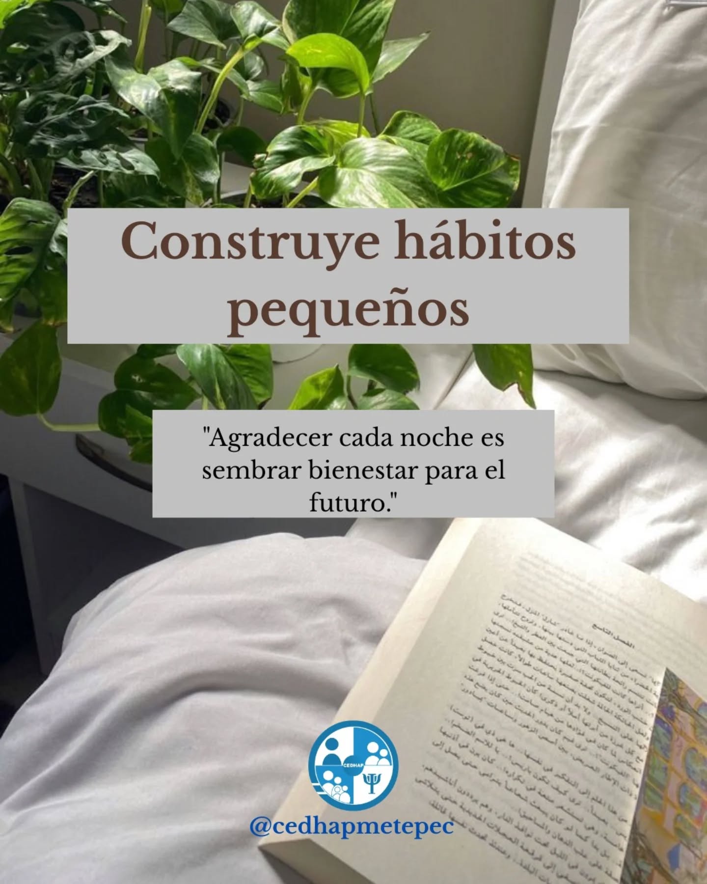 ✨ "Reconoce tus hábitos pequeños: ahí comienza el gran crecimiento" ✨
Cada gran logro está construido sobre la base de acciones pequeñas que repetimos día a día. No subestimes ese momento de dedicar 10 minutos a leer, de tomar un vaso de agua en lugar de refresco, de ordenar un rincón antes de dormir o de decir una palabra de agradecimiento.
Esos hábitos parecen insignificantes al principio, pero cuando los reconoces, les das el poder de fortalecerse. Cada vez que los practicas y los valoras, estás sembrando una semilla que con el tiempo crecerá en una parte fundamental de quién eres y de lo que puedes lograr.
No esperes cambios gigantes de la noche a la mañana. Mira hacia dentro, identifica esos pequeños pasos que ya estás dando y celébralos. Son la piedra angular de tu crecimiento personal 💪
#CrecimientoPersonal #HablemosDeSaludMental #habitos #Psicología