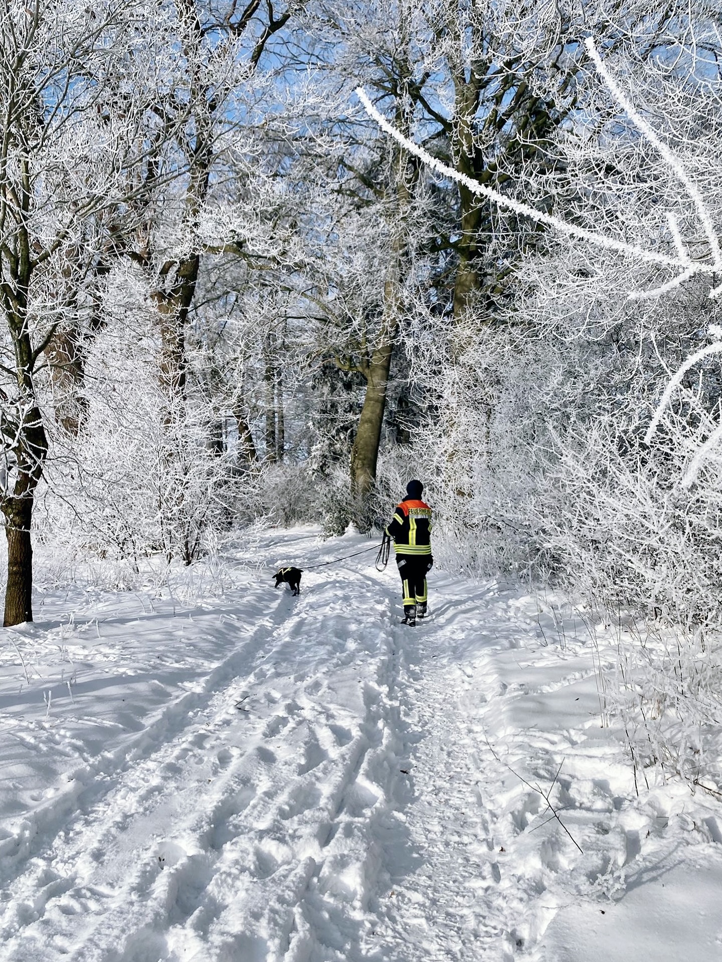 ❄️Mantrailen im Schnee ❄️
Wenn alles weiß ist, wird die Geruchsspur nicht schwächer – sondern komplexer.
Kälte verlangsamt den Abbau von Geruchspartikeln, Wind und Schneestruktur verändern ihre räumliche Verteilung. Die Spur entwickelt sich nicht linear, sondern als dynamisches Geruchsfeld.
Für unsere Hunde bedeutet das:
-wahrnehmen, differenzieren, entscheiden
-konzentriert arbeiten trotz intensiver Ablenkung
-Vertrauen in die eigene Nase
Mantrailen im Winter zeigt eindrucksvoll, wie faszinierend die Entwicklung einer Geruchsspur ist und wie beeindruckend die sensorischen und kognitiven Leistungen unserer Hunde.
#rhotfflemwerder #rettungshundestaffel #fflemwerder #mantrailen #mantrailing #wintertraining #teamwork ❄️🐾