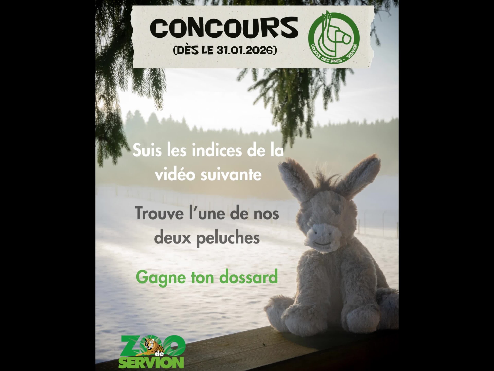 🚨 Alerte concours : chasse à la peluche dès le samedi 31.01.2026 🚨
🔍 À l’aide des indices suivants, pars à la recherche de l’une de nos deux peluches et gagne ton dossard pour la course de ton choix 🎽
Maintenant, à toi de jouer ! Une fois la peluche trouvée, suis les directives qui se trouveront avec elle 📄✅
⚠️ Mesures particulières ⚠️ :
❌ Ce concours ne t’offre pas la gratuité des lieux payants 💰
🧗♂️🚧 Il ne sera aucunement nécessaire de grimper ou de franchir des barrières pour la récupérer
@zoo_de_servion @tropiquarium_de_servion @liaudetpial @wellamo.ch @myvaud #NPPR @idees_vertes_sarl #Servion #Trailrunning @leman_running #raiffeise_de_Lavaux @fonds_du_sport