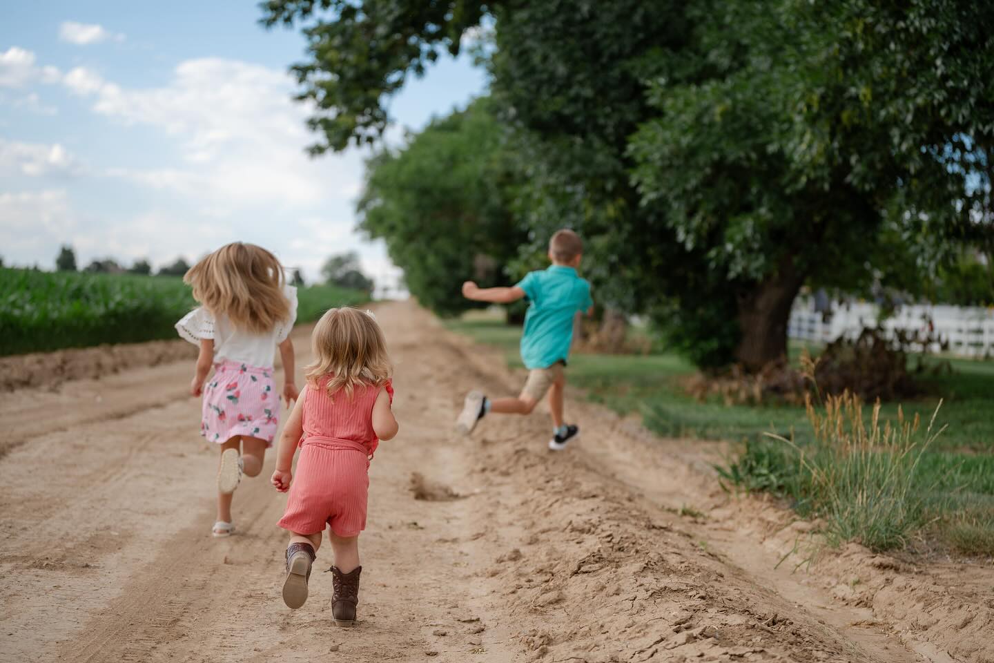 Playful summer