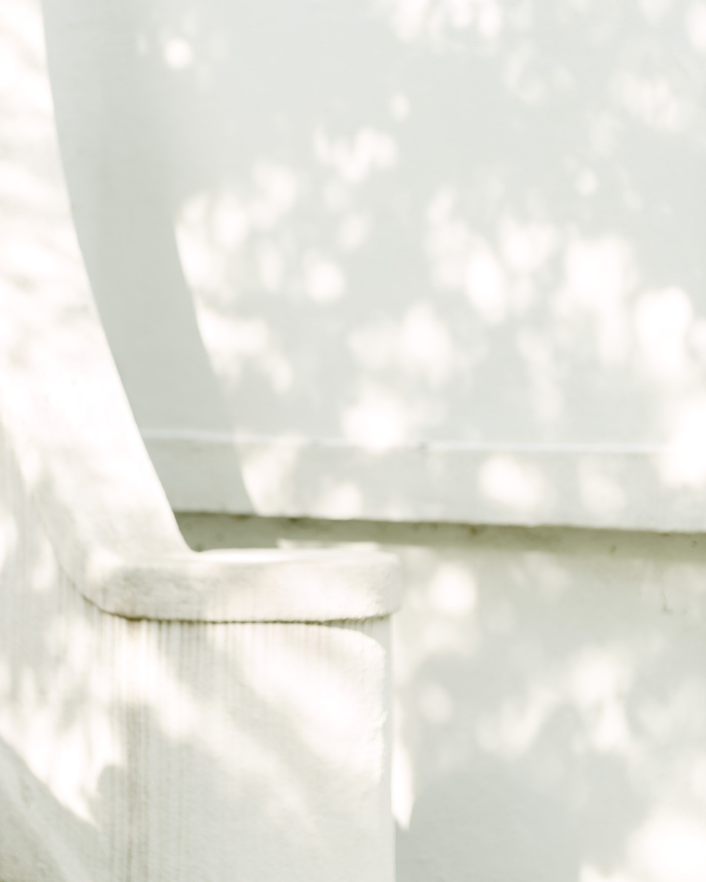 I love how light plays through trees, how a calm breeze makes the leaves shimmer in the sun. That’s always a serene moment for me - watching the greens against the blue sky and breathing in the summer scents.
.
.
.
.
.
.
#exploreontario #shadows #shadowsandlight #lakeside #maternityphotography #familyphotography #newbornphotography #weddingphotography #torontomaternityphotographer #torontonewbornphotographer #torontofamilyphotographer
#torontoweddingphotographer
#torontophotographer #gtaphotographer #ontariophotographer #torontoportraitphotographer #torontoeventphotographer
#refinedpresets #refinedco #lightroompresets #naturallight #naturallightphotography #lightandairy #megmateraphotos