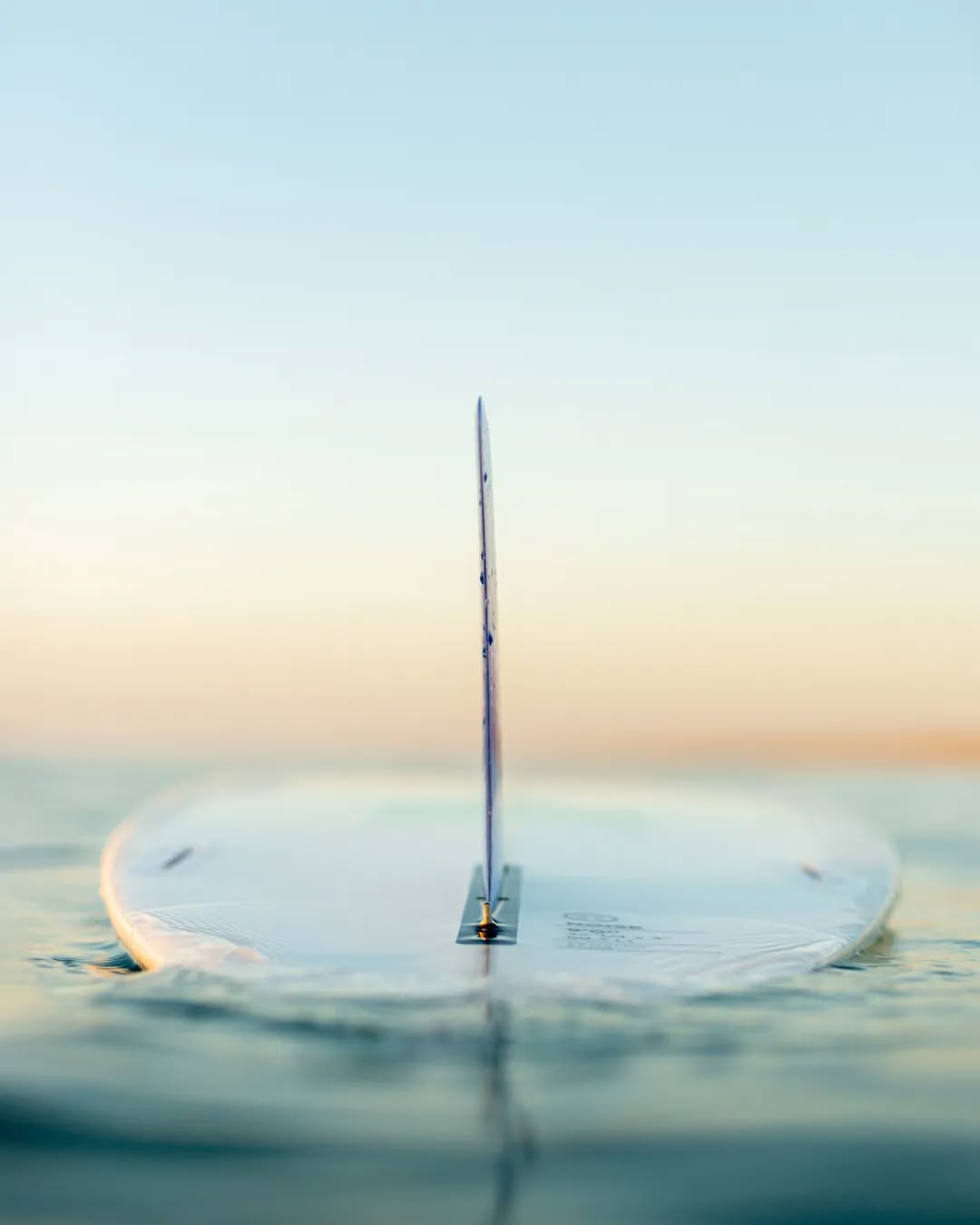 Fin. #longboard #singlefin #beachlife #mimizan #sunsetsession #surf #mimizanplage #ocean #surfer #jamaissansocean #underwater #surfboard #underwaterphotography #surf #sunsetphotography #ocean #coucherdesoleil #sunsetlovers #sunset #longboarding #mimizantourisme #surfphotography #biscarosse #contis #photographelandes #photographemimizan #photographebiscarrosse #landes #leslandes #nikon #manonduport