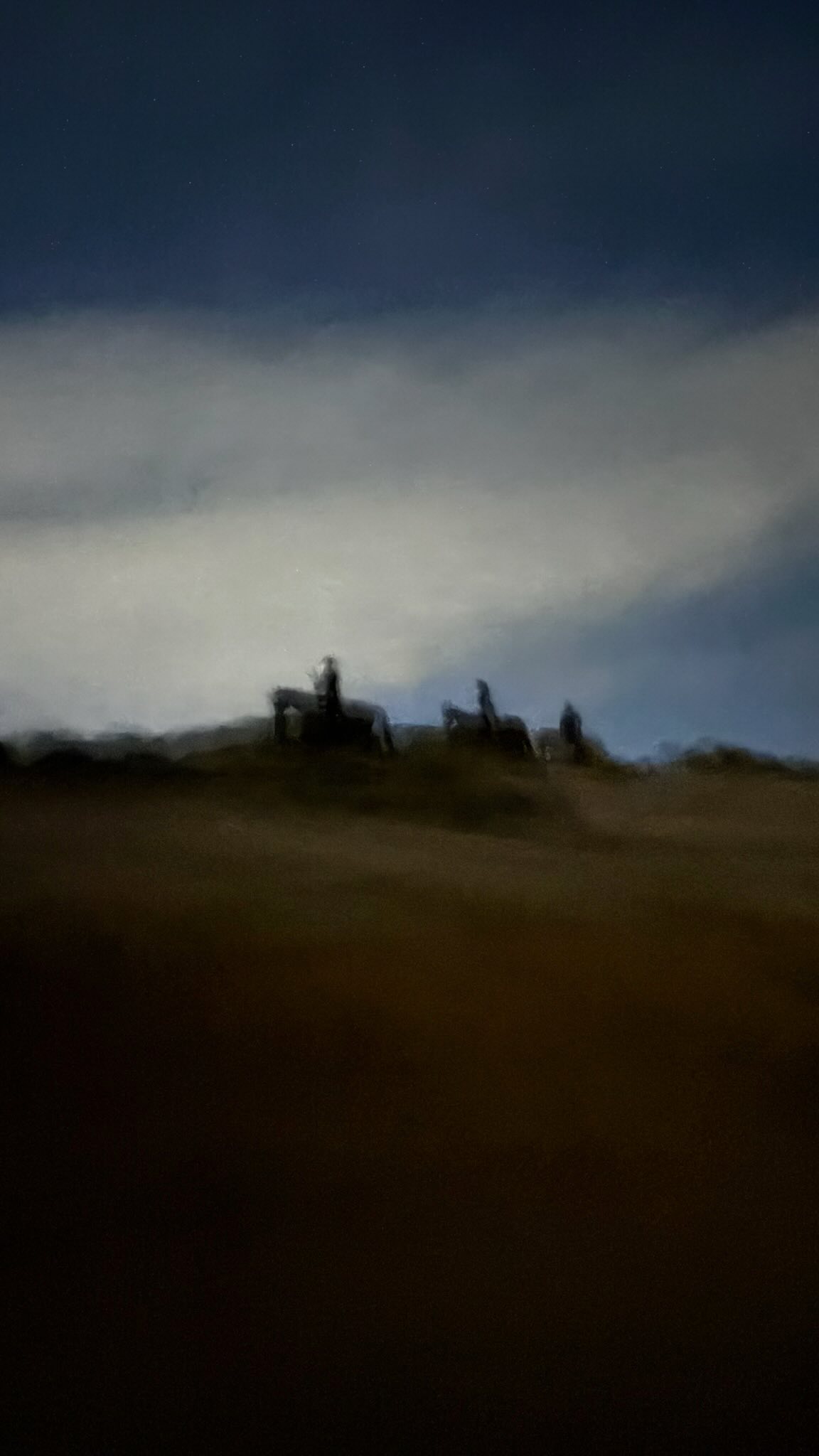 Full Moon Rides 🌕🌙
A rare night experience guided by moonlight, silence and connection.
More than a ride — a moment of presence and trust between horse and rider.
Only for advanced riders.
📅 1 · 2 · 3 February 2026
Limited availability.
#litshorses #praiadomeco #beachride #fullmoon