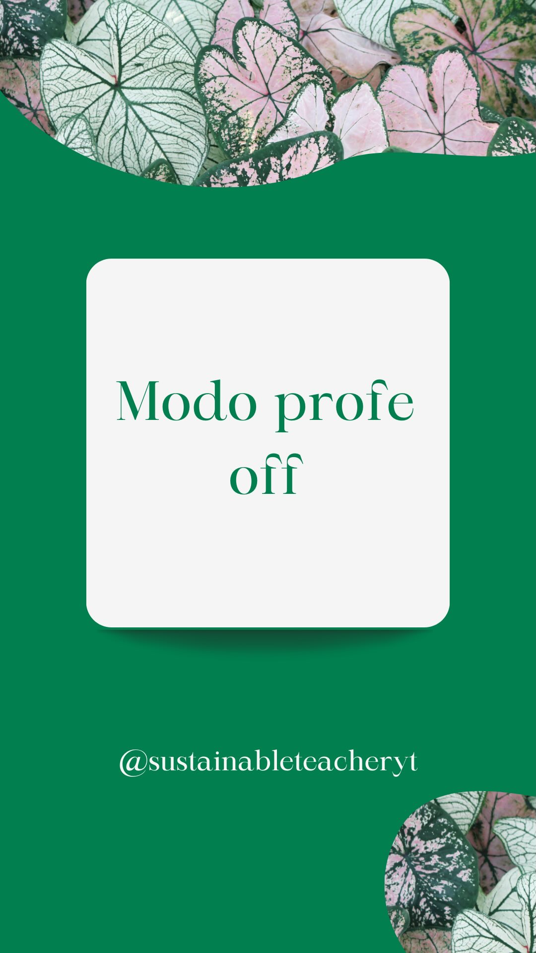 No todo el tiempo libre tiene que ser productivo.
Y menos cuando eres profe.
Desconectar también es parte del trabajo,
aunque no venga en ninguna programación.
👉 ¿Qué haces tú para salir del “modo profe” fuera del aula?
#profesorado #docenciareal #autocuidadoeducativo #vidaacademica #enerodocente
