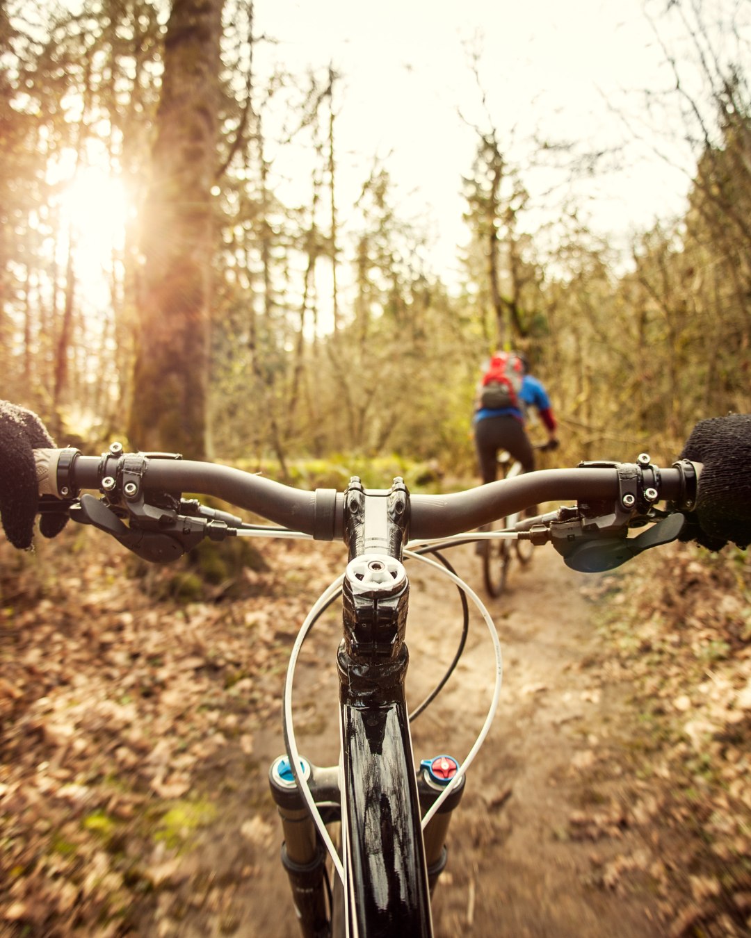 🚴♂️ Cycle your way through Nottinghamshire’s countryside 🌳
From gentle woodland rides to more challenging trails, there’s no shortage of scenic cycling routes near our properties. Explore the peaceful paths of Sherwood Forest, take on the trails at Sherwood Pines, or enjoy lakeside views as you ride through Clumber Park.
Whether you’re heading out for a relaxed spin or something a little more adventurous, it’s a great way to soak up the landscape and enjoy the fresh air during your stay.
#VillageHolidays #CyclingBreaks #SherwoodForest #SherwoodPines #ClumberPark #ExploreNottinghamshire #ActiveGetaway