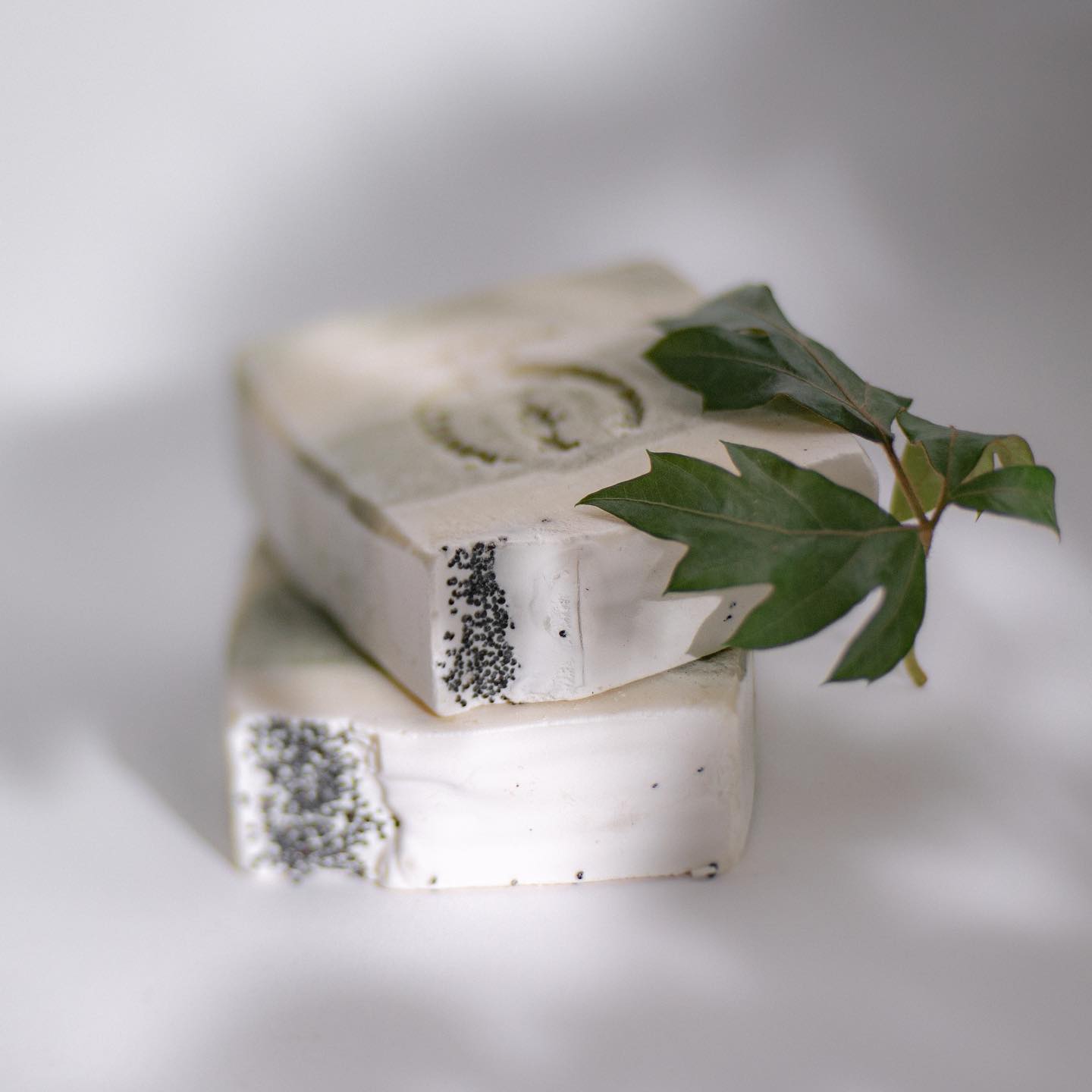 Bosco Balsamico è nato in un momento in cui anelavamo a pace, silenzio e contatto con la Natura.
Solo ora, col senno di poi, mi rendo conto di quanto la sua creazione sia stata un tentativo, forse anche riuscito, di riportare calma e normalità in mezzo ad una tempesta.
La scelta degli oli essenziali, in modo quasi ‘inconscio’ per questo sapone, è riuscita ad allinearsi perfettamente a questo scopo.
L’olio essenziale di Legno di Cedro, l’olio essenziale di Pino Silvestre e l’olio essenziale di Patchouli, sono tutti oli essenziali calmanti, anti-stress, che mirano a riconnetterci con la Natura.
Il profumo è legnoso, secco, leggermente balsamico e persistente.
Contiene Argilla Verde e Alga Spirulina.
È decorato con semi di Papavero Blu, che non hanno senso ma sono tanto carini.
Bosco Balsamico ha portato un po’ di brezza fresca e calma. Per respirare di nuovo.
.
.
#Boscobalsamico #oliviasoaps #laverabellezzaènaturale #saponesolido #cosmesisolida #cosmesiinregola #soaplovers #legnodicedro #pinosilvestre #famigliaolfattivalegnosa #profumodibosco #cosmesigentile #solidsoap #fattoamano