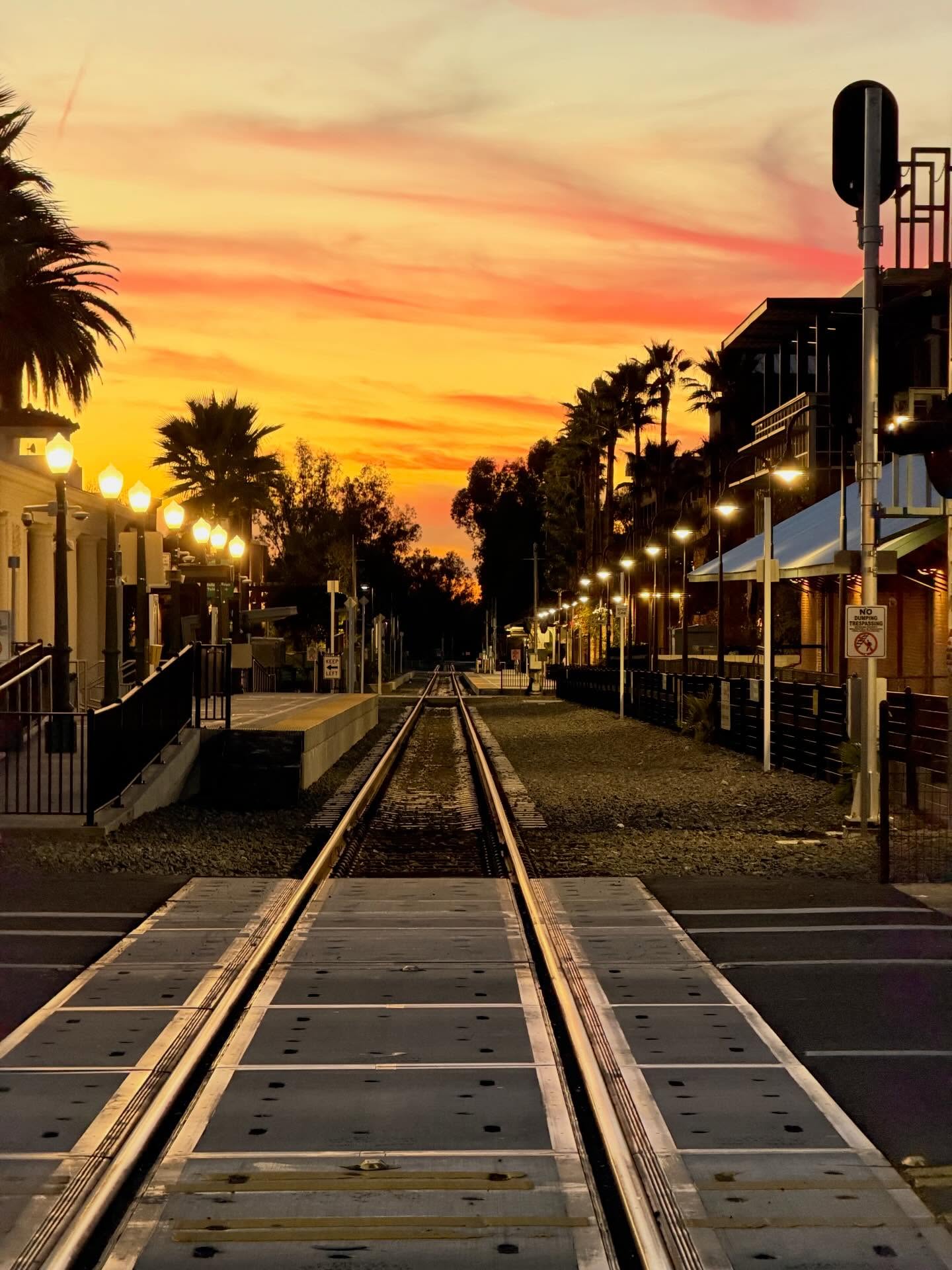 Don’t mind me, just excited to have a decent phone camera again. 😍😍😍