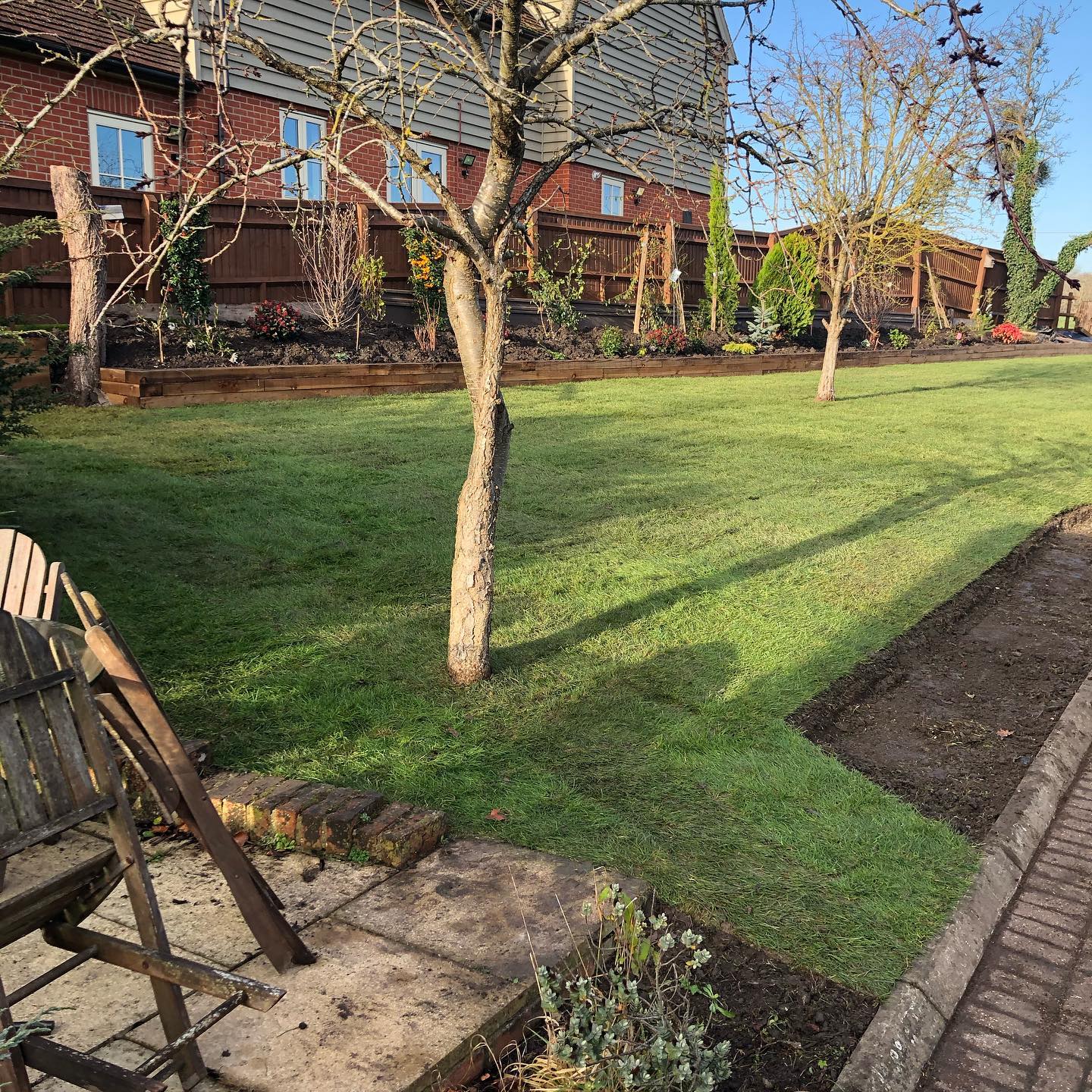 A sunny November day and another new lawn