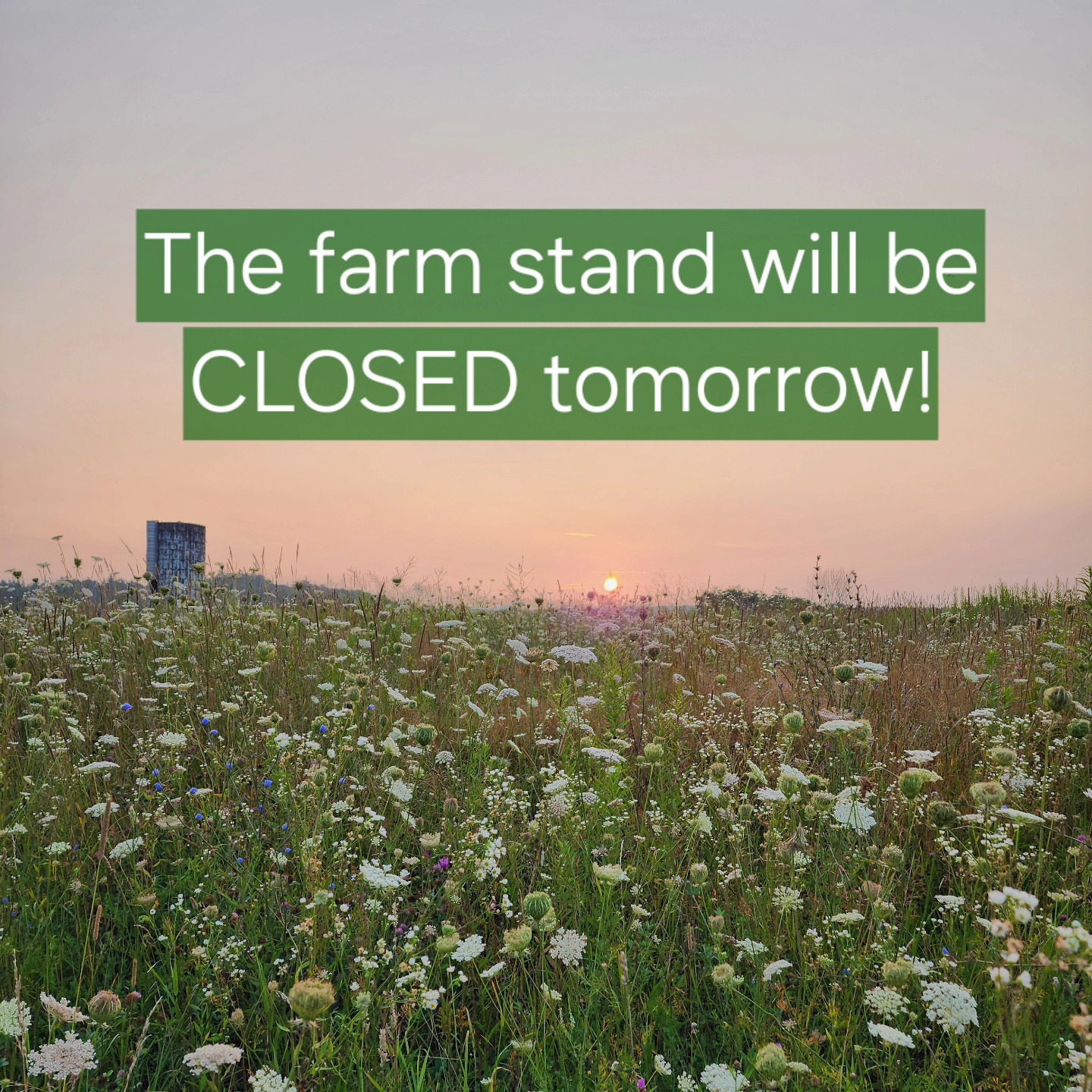 Due to a family wedding, the farm stand will be closed Saturday, August 9th.
Sorry for any inconvenience!