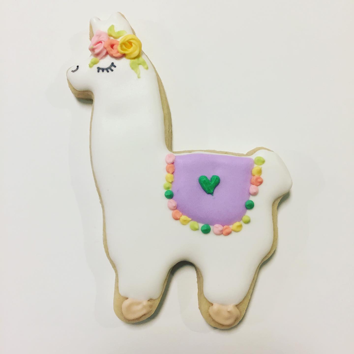 1st birthday llama #1stbirthday #llama #royalicingcookies #royalicing #sugarcookies #sugarcookiesofinstagram #sugarcookiesgram #cookiegram #cookiegift #partyfavors #customcookies #wiltongelcolors #edibleart