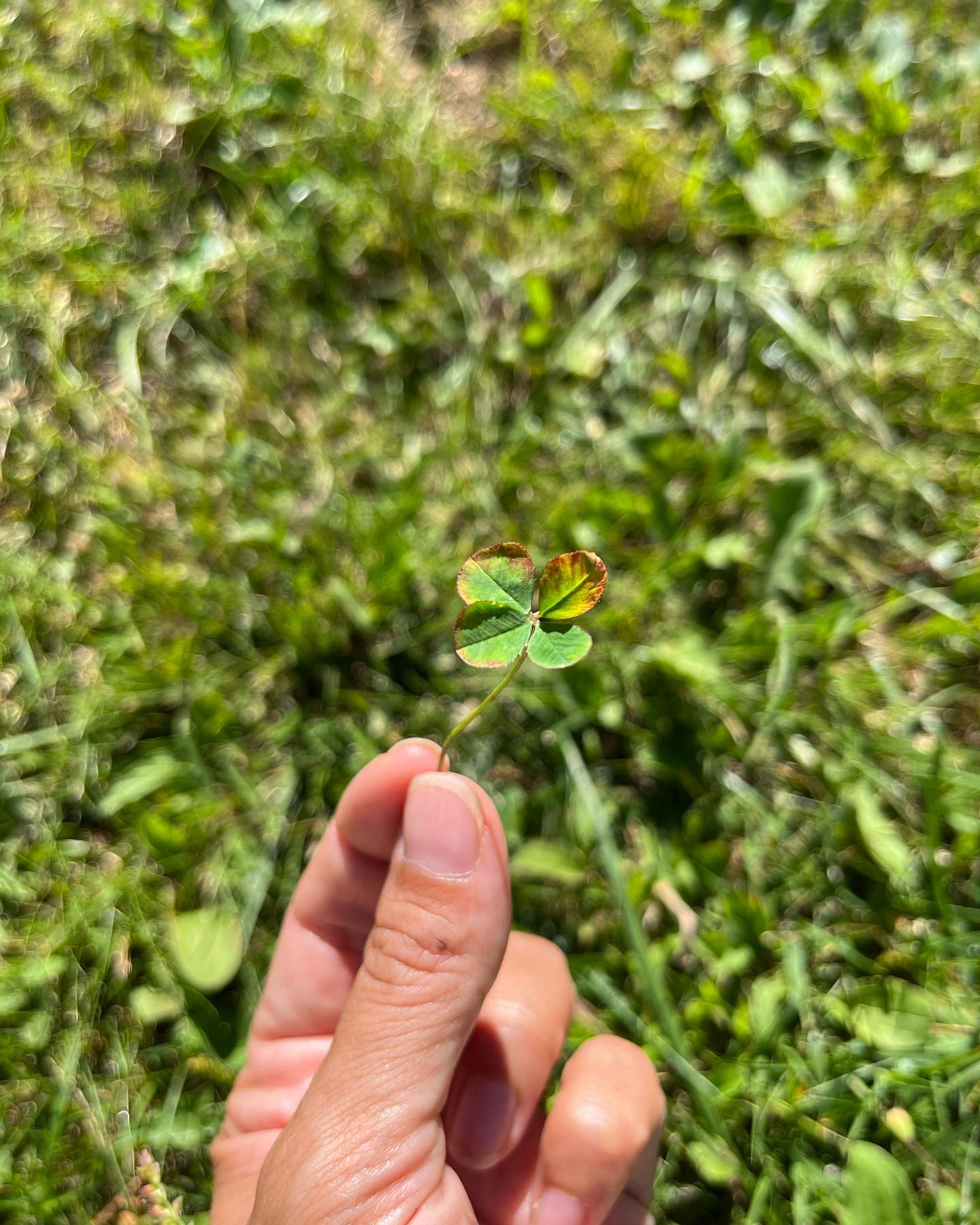 🍀. Belle et heureuse année 2023.🍀
.
Qu’elle vous apporte amour, joie, santé et reconnexion à Soi 🙏🏽.
.
Je pense fort à vous
.
À très vite 😉
.
Ludivine 🌺
…
..
.
#bonneannée #happynewyear #felizañonuevo #bonheur #hapiness #felicidad #newyear #nouvelleannée #newlife #nouvellevie #renouveau #newbirth #allispossible #newvibes