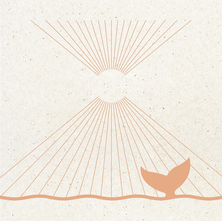 For millions of years biodiversity has kept things running smoothly. Who’s on board to keep it that way?
Whales lead an integral part of the planetary balance. Everyday, one blue whale dumps 3 tons of fecal matter, rich in nitrogen and iron that feeds the phytoplankton which eventually feeds the zooplankton. These microorganisms create about half the atmosphere's oxygen, as much per year as all land plants. Phytoplankton also form the base of virtually every ocean food web. In short, they make most other ocean life possible. Raise your voice and support organizations that protect these amazing creatures.
☽
∆...
.
.
.
#biodiversity #climatepolitics #climatejustice #savethewhales #environmentalpolicy #climateemergency #oceanconservation #plasticfreeoceans #biomaterials