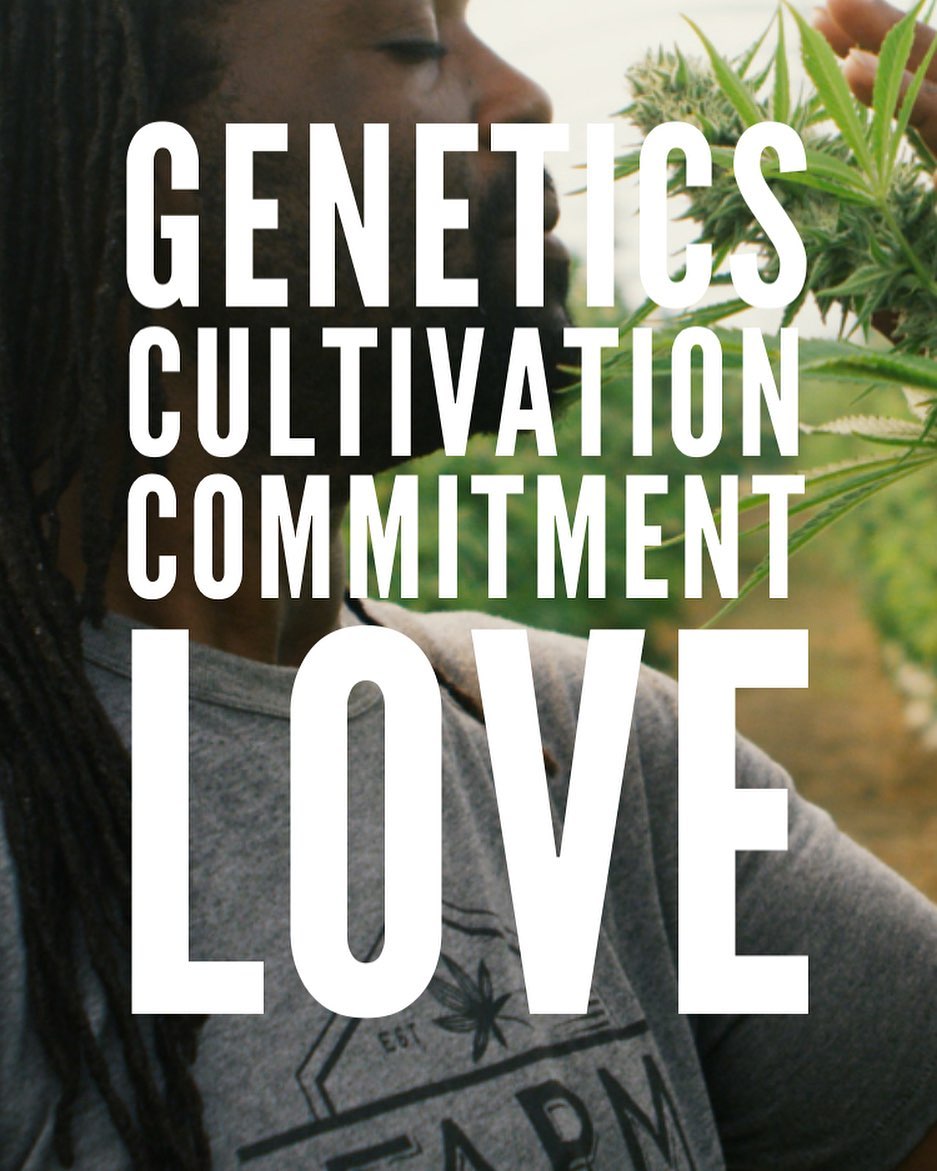 Thank you to @essential_good for bringing us on to help launch a great new brand to the California market! Check out our latest site design almorafarm.com
#cannabiscommunity #californiacannabiscommunity #websitedesign #bostoncannabiscommunity #cannabisbranding