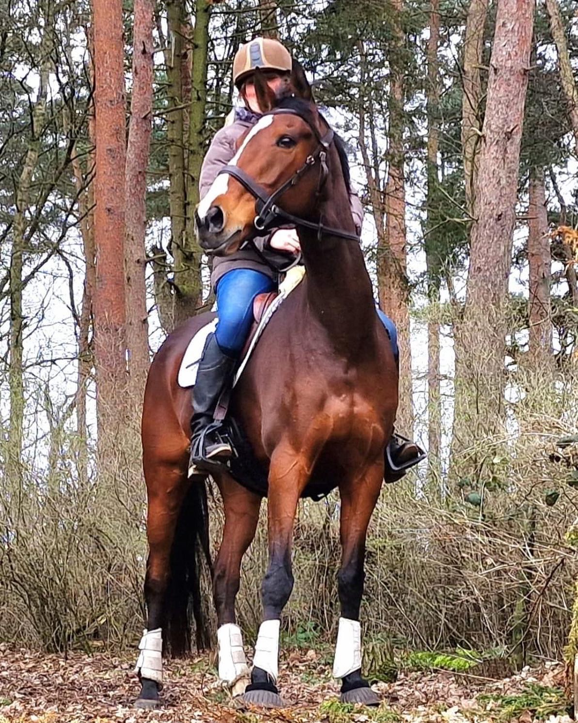 Ems and her lovely mare out in the forest🌲
#transcendbitlessbridle #doublebitlessbridle #simplesidecue #bitless #freedom #connection #superiorquality #englishleather #equine #horse #pony #bespoke #naturalhorsemanship #equestrian #baroque #horseaddict #equality #tack #biothane #photography #glowup #natural #horsesofinstagram #showjumping #dressage