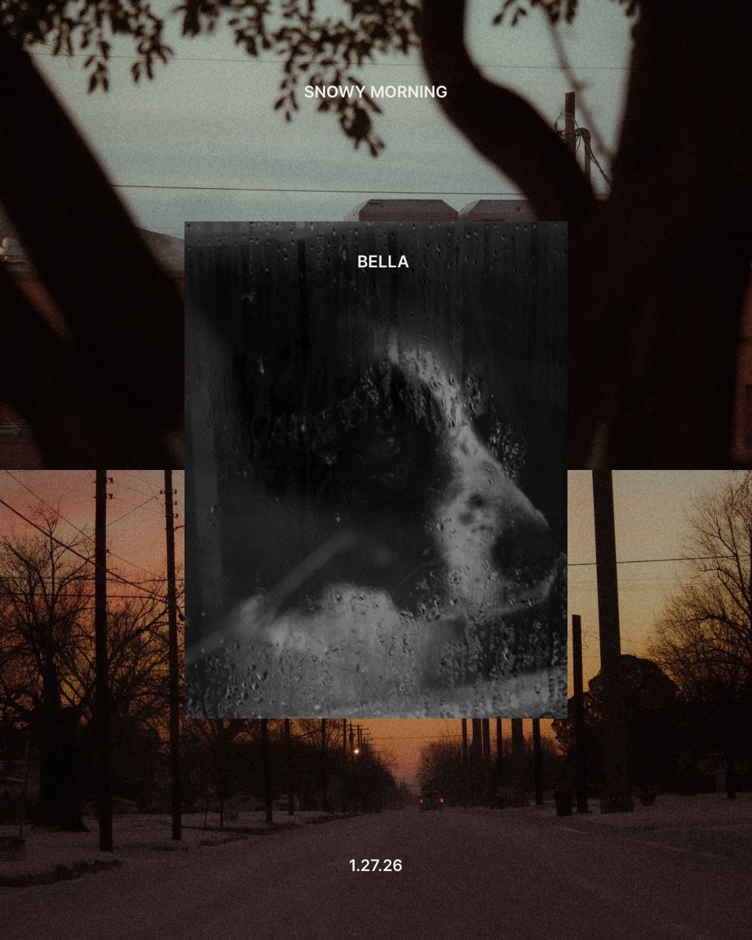 I was hoping to catch the street lights on but the moment I got outside they turned off. But the Lord had something else planned for me.
Beauty is everywhere you just have to look.
#Texassunrise #texasphotographer #morningphotoshoot📷☀️