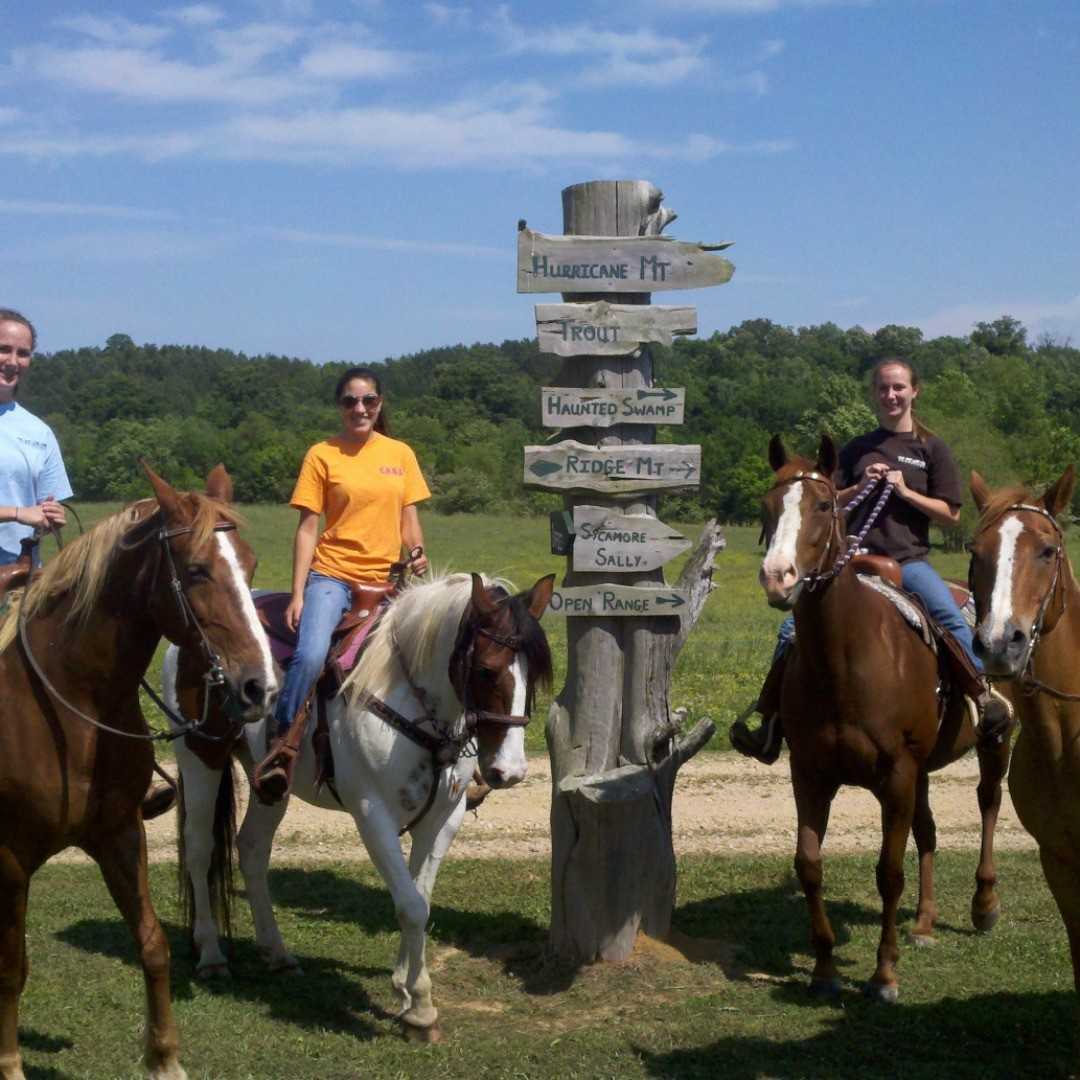 OPEN TODAY! We think Sunday is a perfect day for a ride. Bring your horse (with coggins test). Come before it gets too cold. #sundayride #trailriding #horseriding #alabamatrails